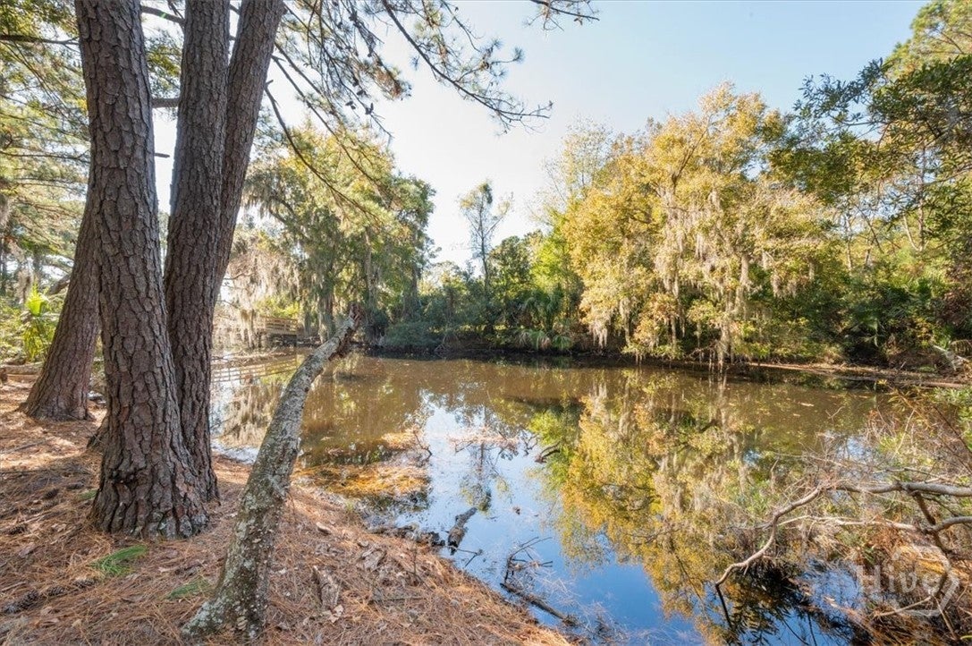 Richmond Hill, Georgia, 31324, United States, 5 Bedrooms Bedrooms, ,4 BathroomsBathrooms,Residential,For Sale,1994368