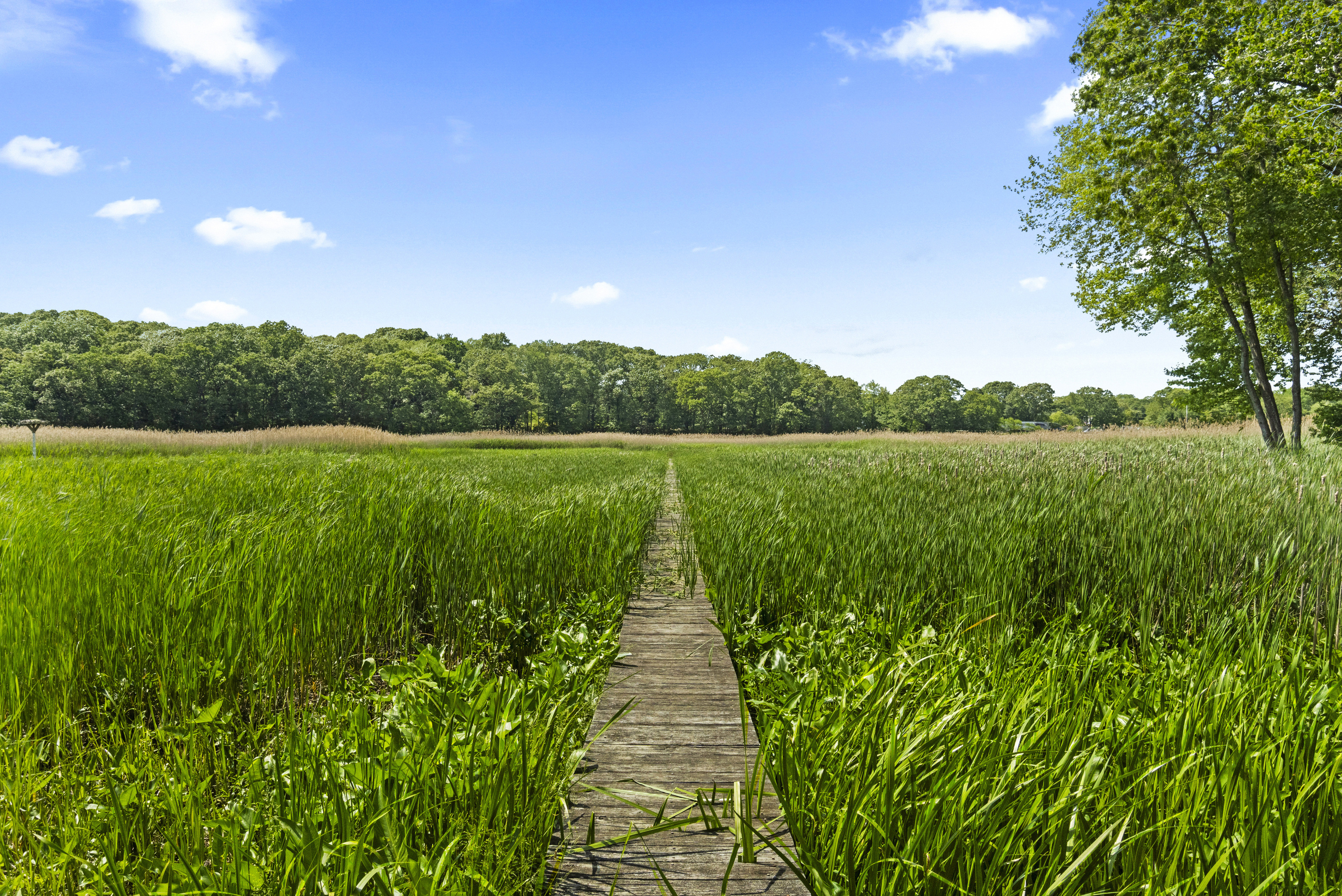  Incredible Opportunity in Old Lyme - 物件實景