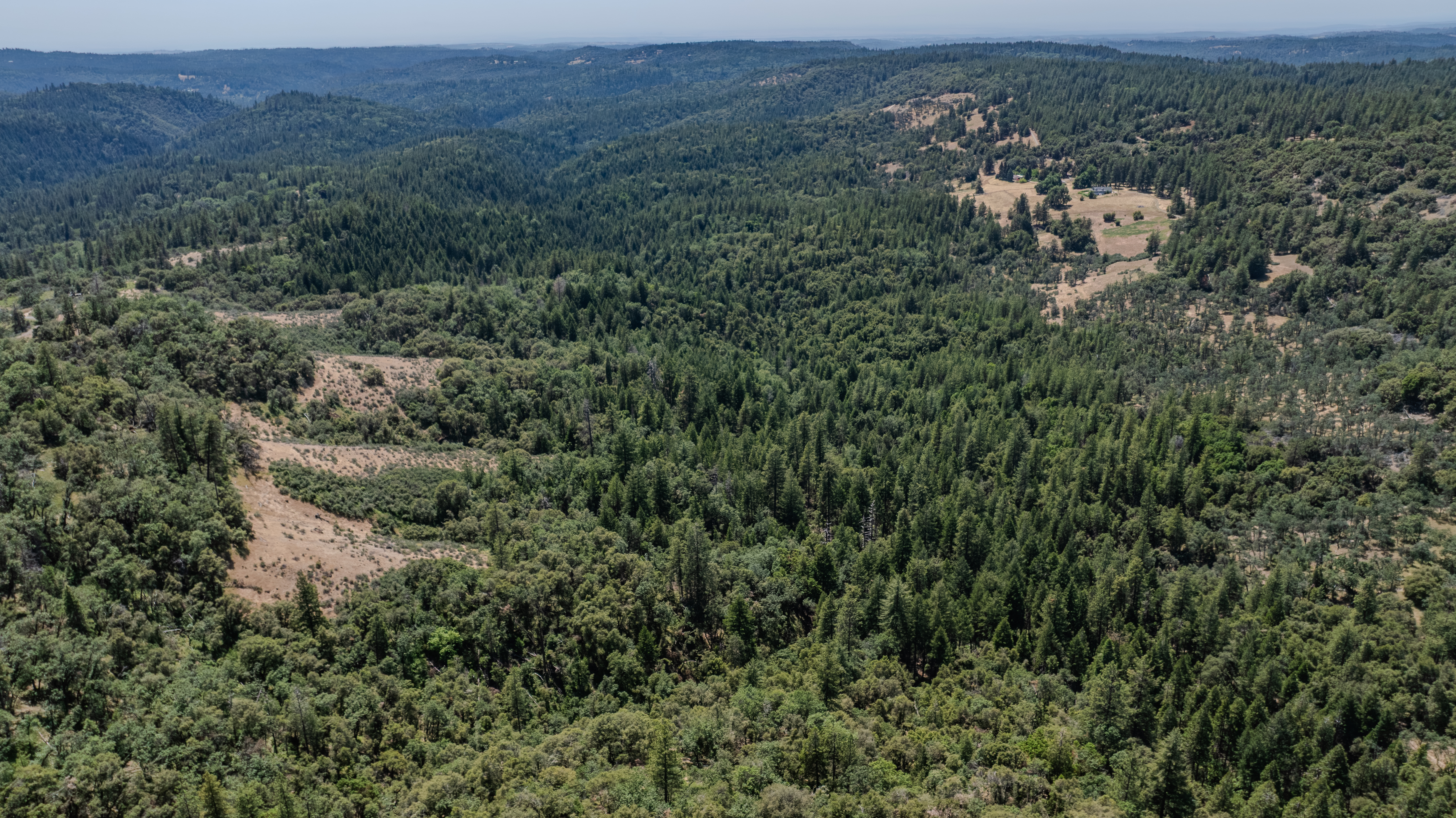  24100 Canterbury Road, Pioneer, CA 95666 - 物件實景