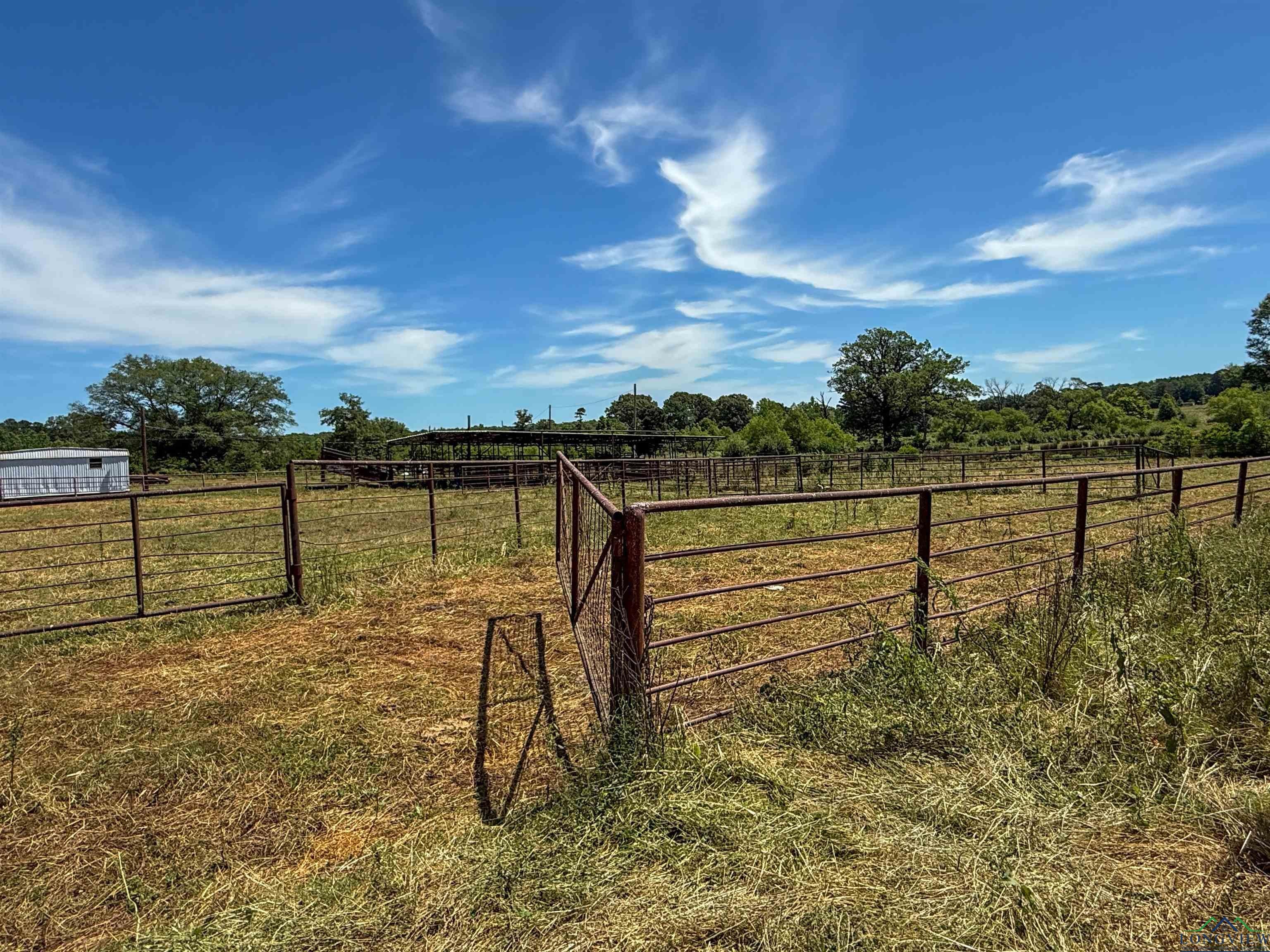 7557 FM 248, Lodi, Texas, 75564, United States, ,Residential,For Sale,7557 FM 248,1614560