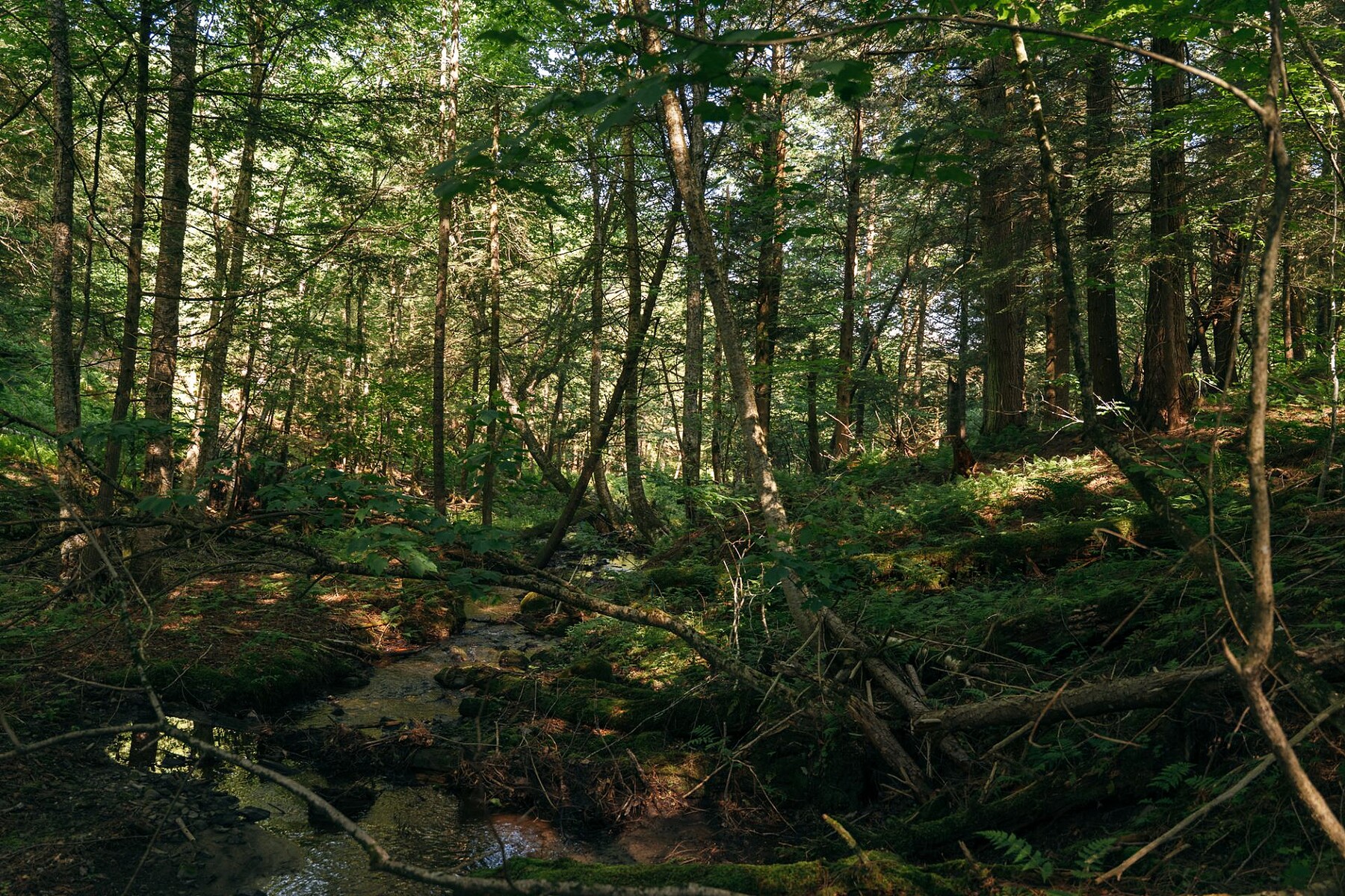  Sutton, Eastern Townships - 物件實景