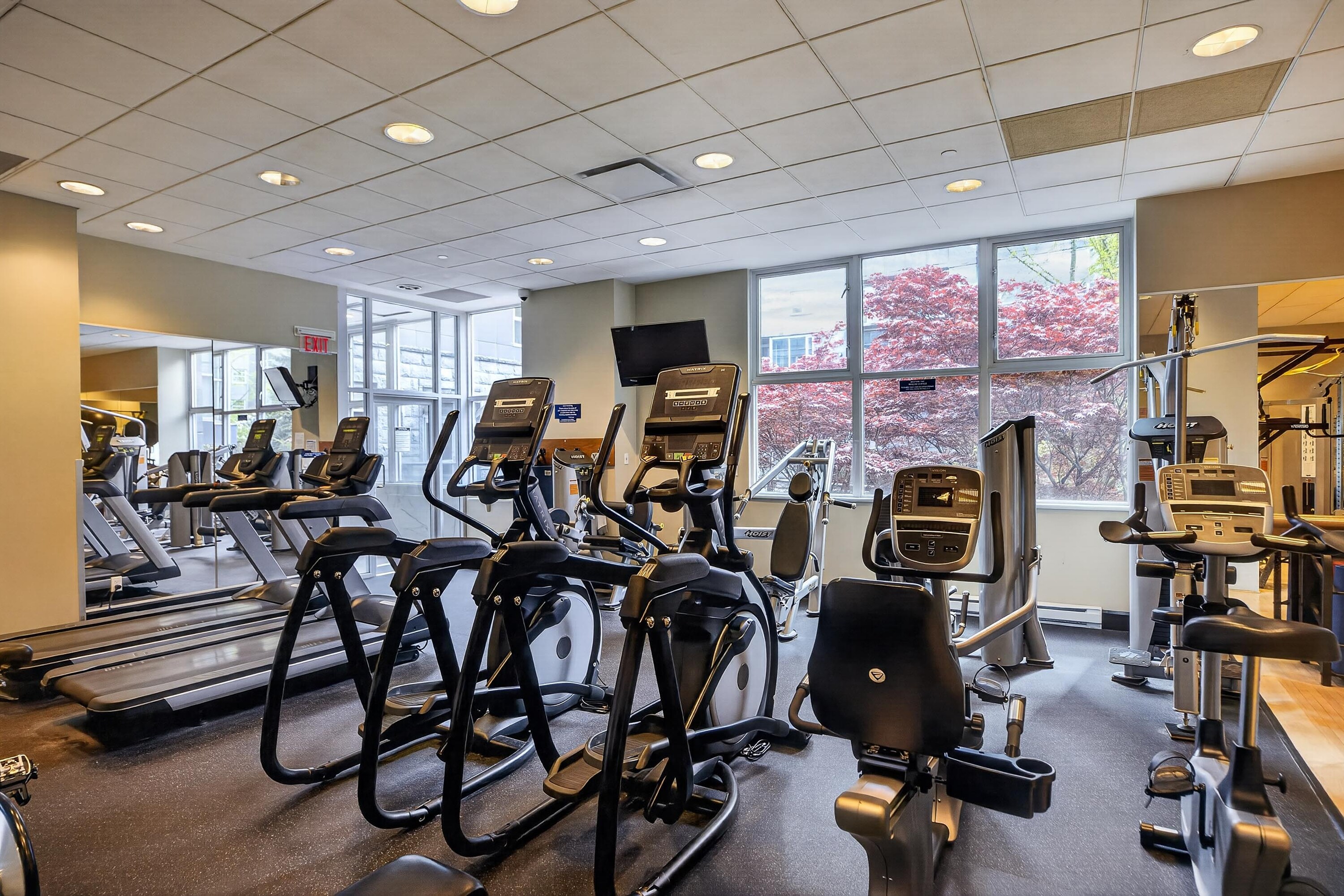  Impressive Coal Harbour Condo - 物件實景