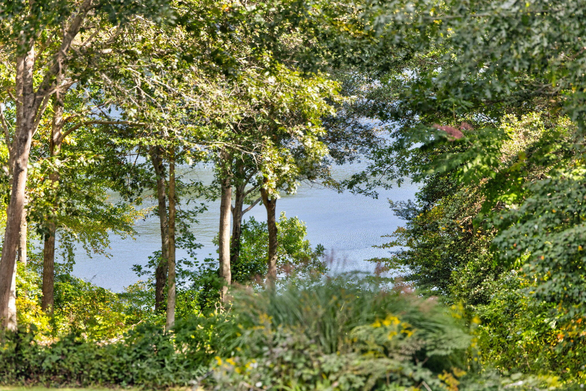  122 Country Club Road - 物件實景