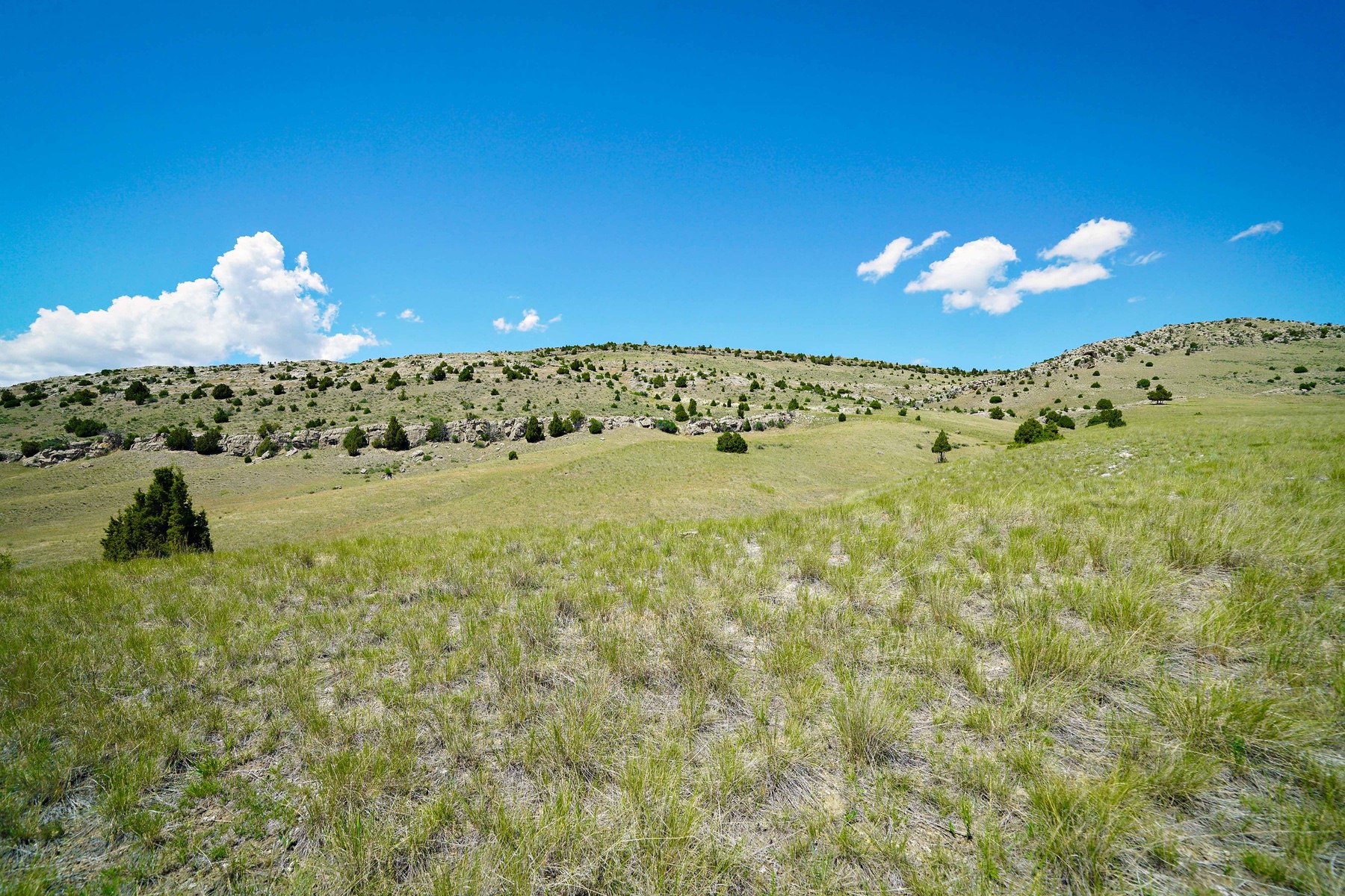  Lot 33 & 39 Gallatin River Ranch - 物件實景