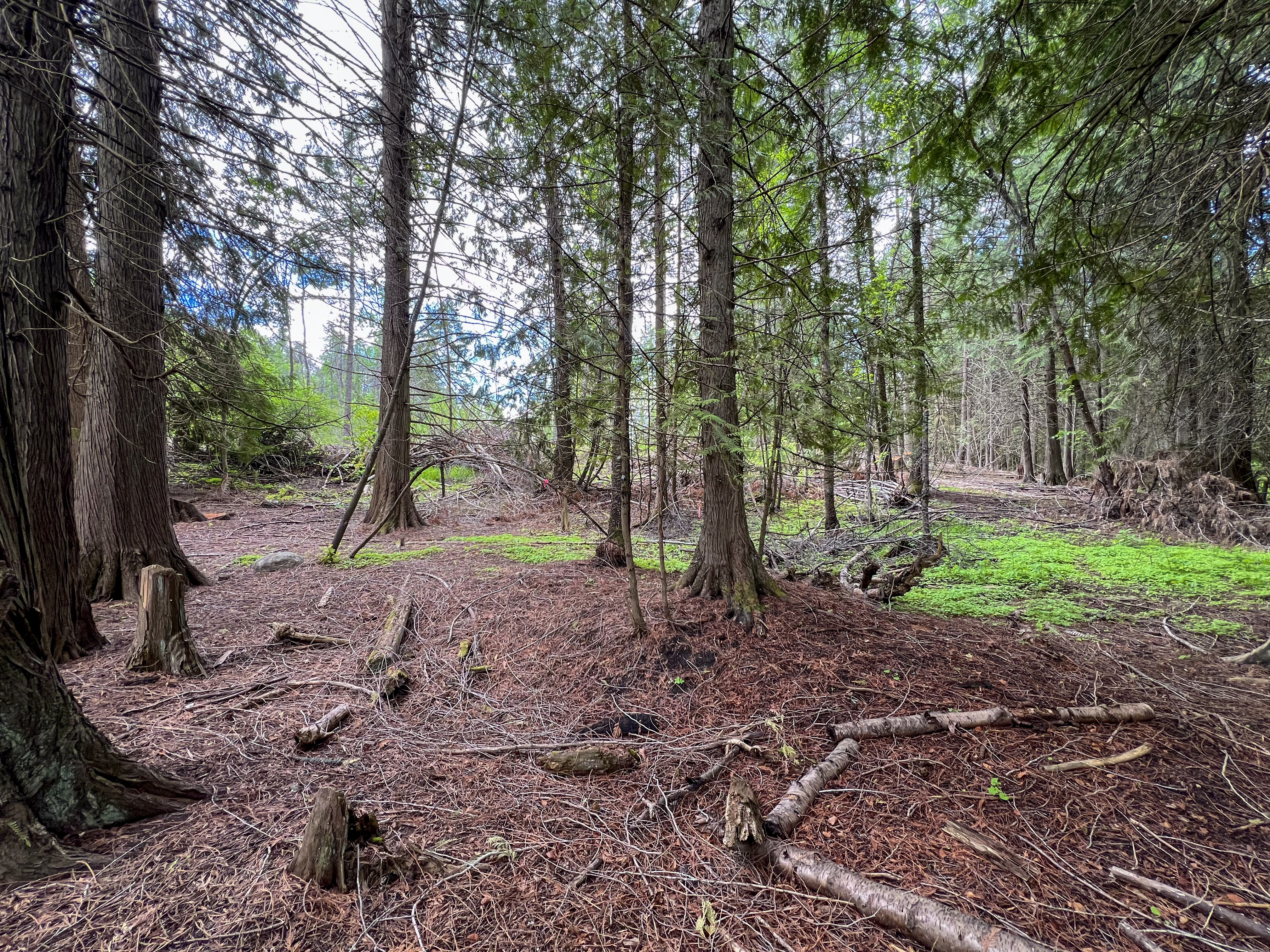 Kettle Falls, Washington, 99141, United States, 3 Bedrooms Bedrooms, ,2 BathroomsBathrooms,Residential,For Sale,1985709