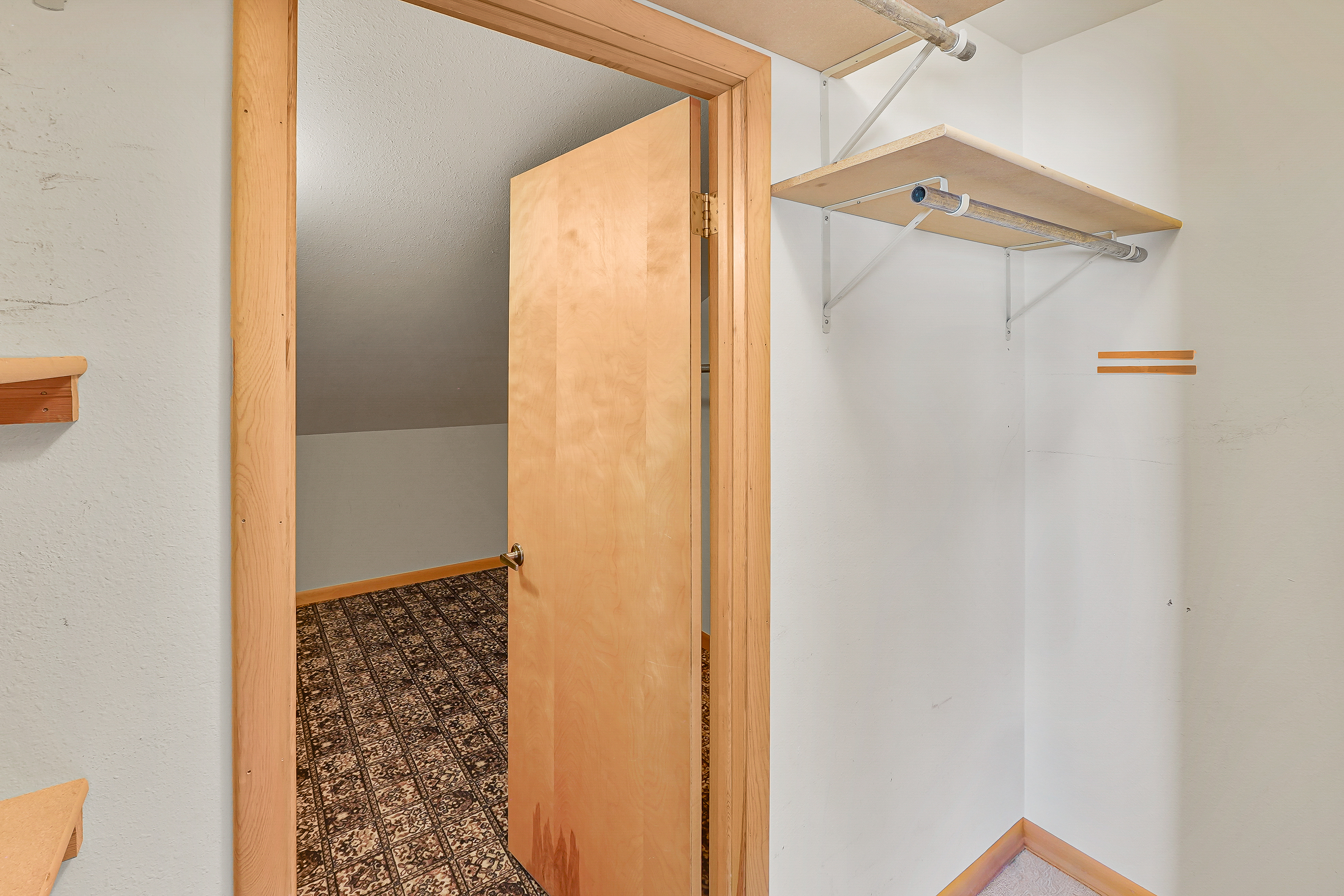  1326 County Road 220, Durango, CO 81303 - 物件實景