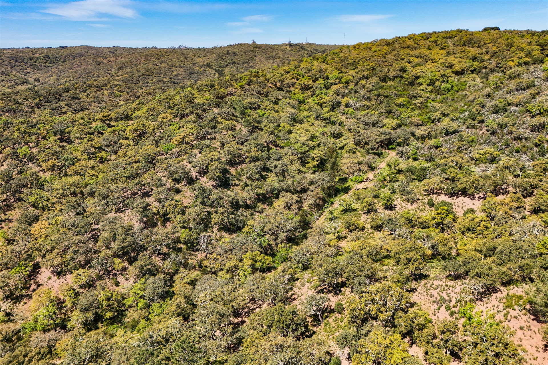  Real estate land for Sale - 物件實景