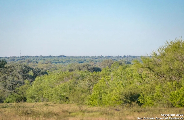 Beeville, Texas, 78102, United States, ,Land,For Sale,1988302