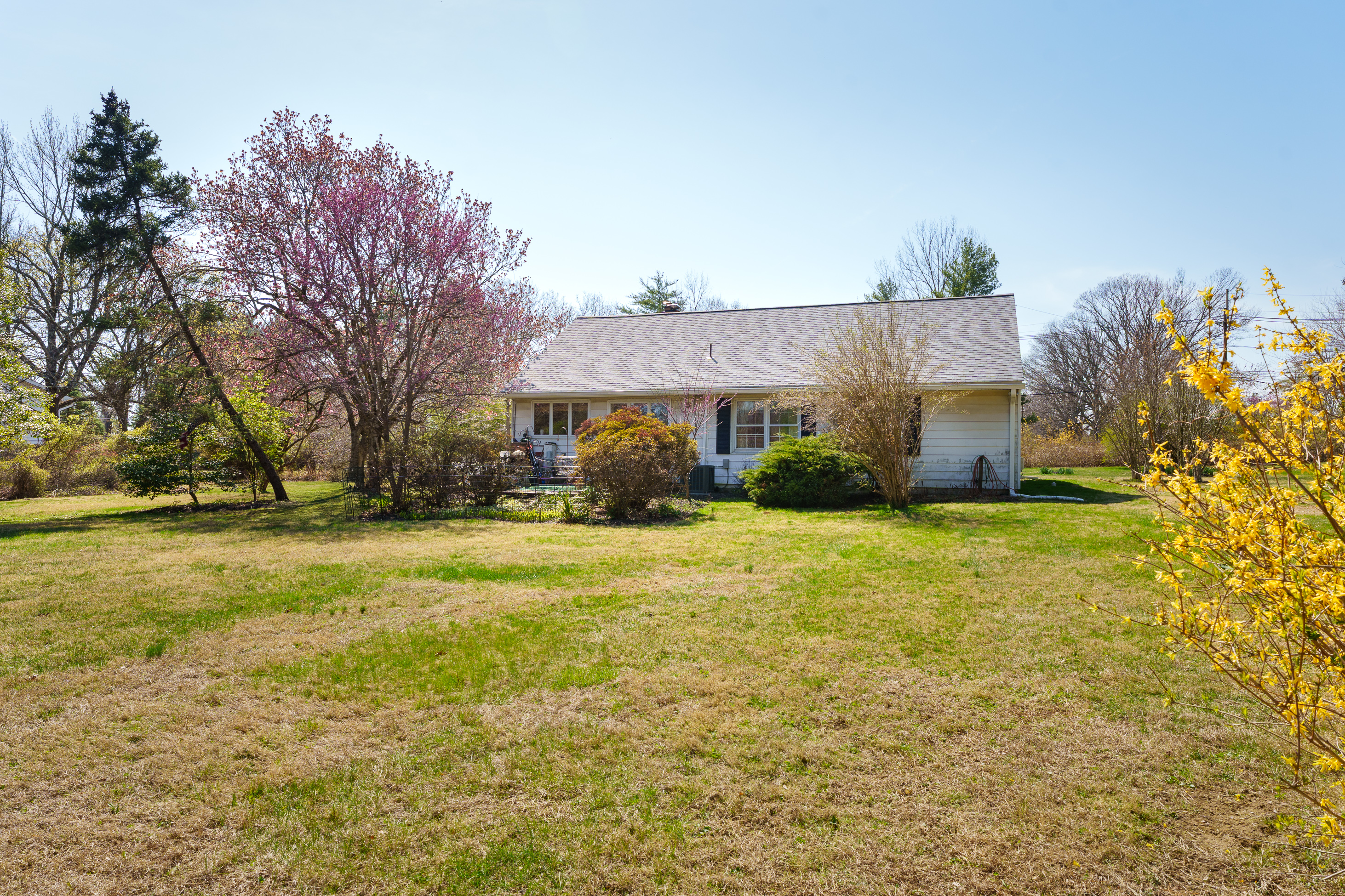  Create Your Dream Home in the Perfect Central location - 物件實景