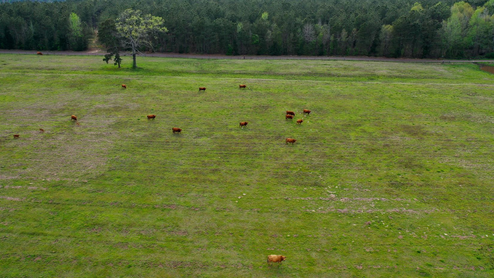 Bivins, Texas, 75555, United States, ,Residential,For Sale,1755933