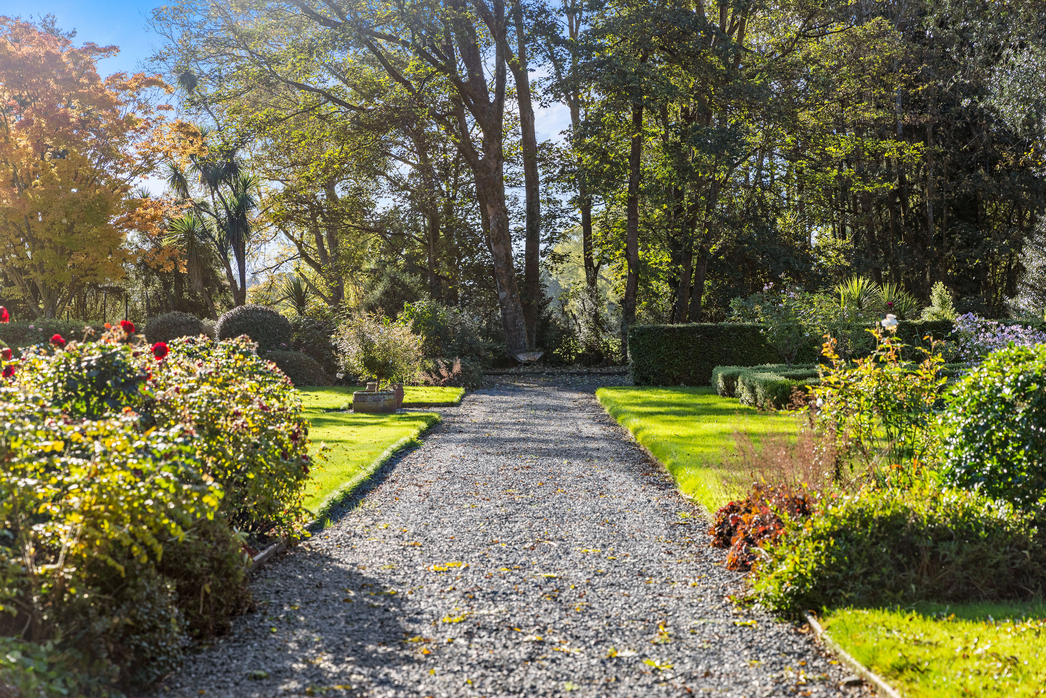 Landmark Homestead rezoned with substantial landbank - 物件實景
