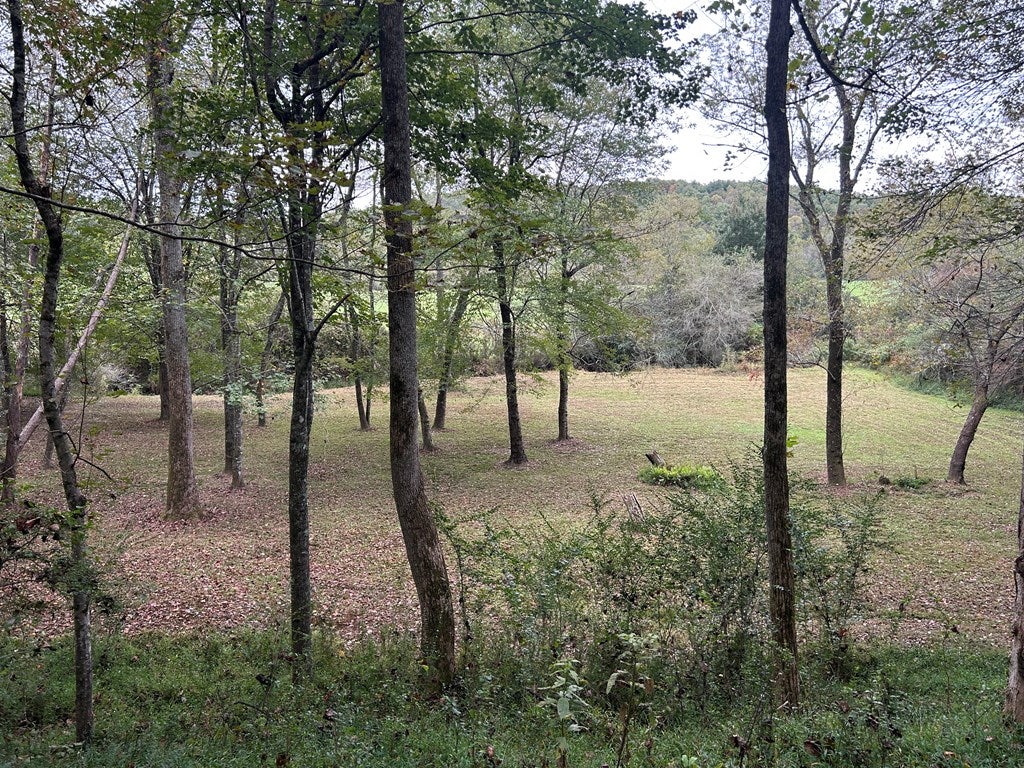 Blue Ridge, Georgia, 30513, United States, 3 Bedrooms Bedrooms, ,3 BathroomsBathrooms,Residential,For Sale,1954403