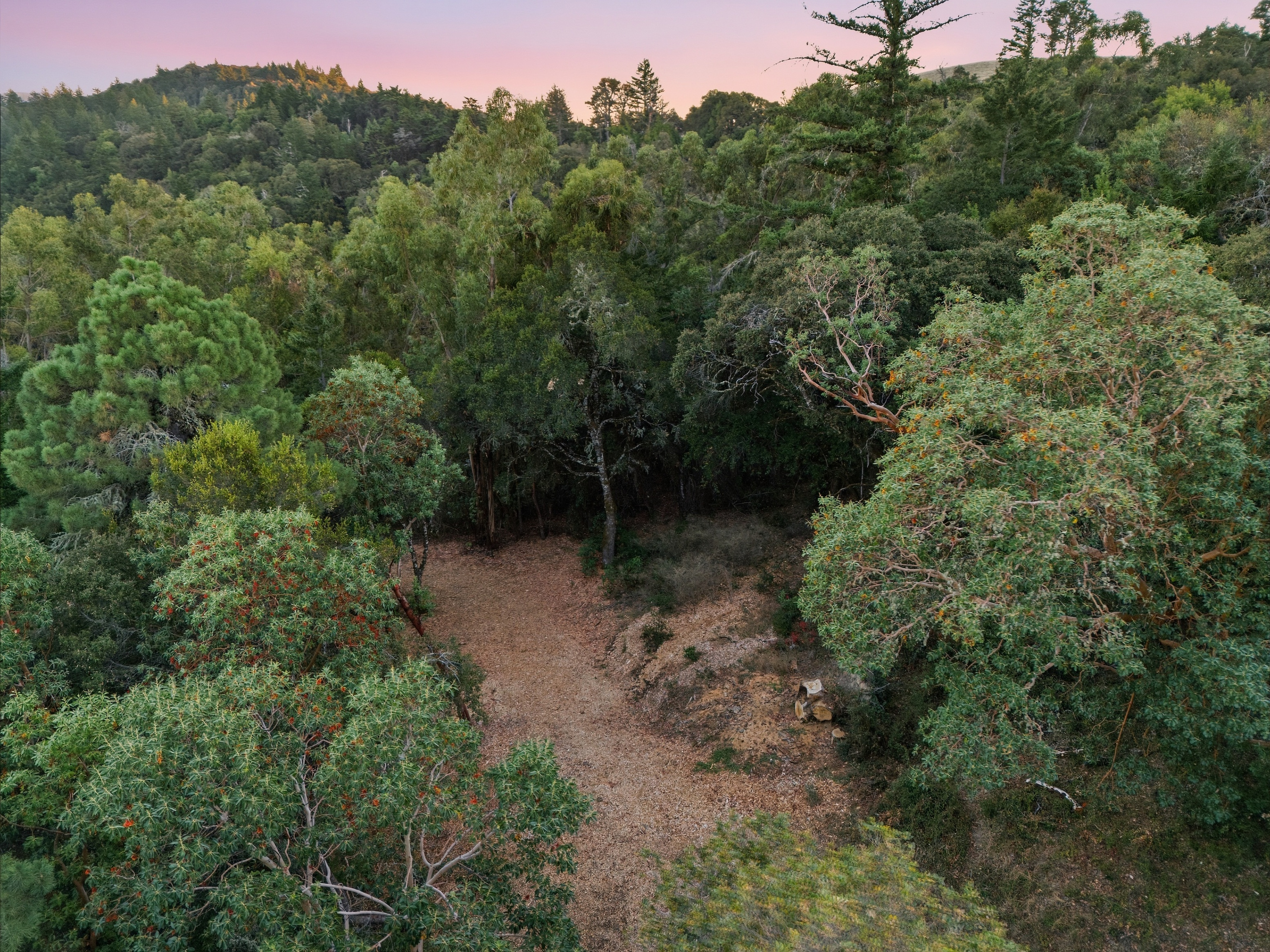  Exceptional Five-Acre Estate Opportunity with Bay Area Views - 物件實景