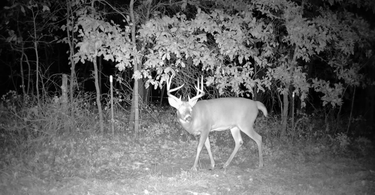 Kirksville, Missouri, 63501, United States, ,Land,For Sale,2006170