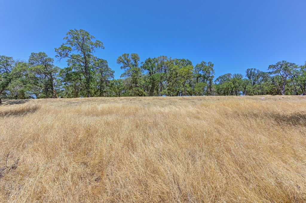 El Dorado Hills, California, 95762, United States, ,Land,For Sale,1874458