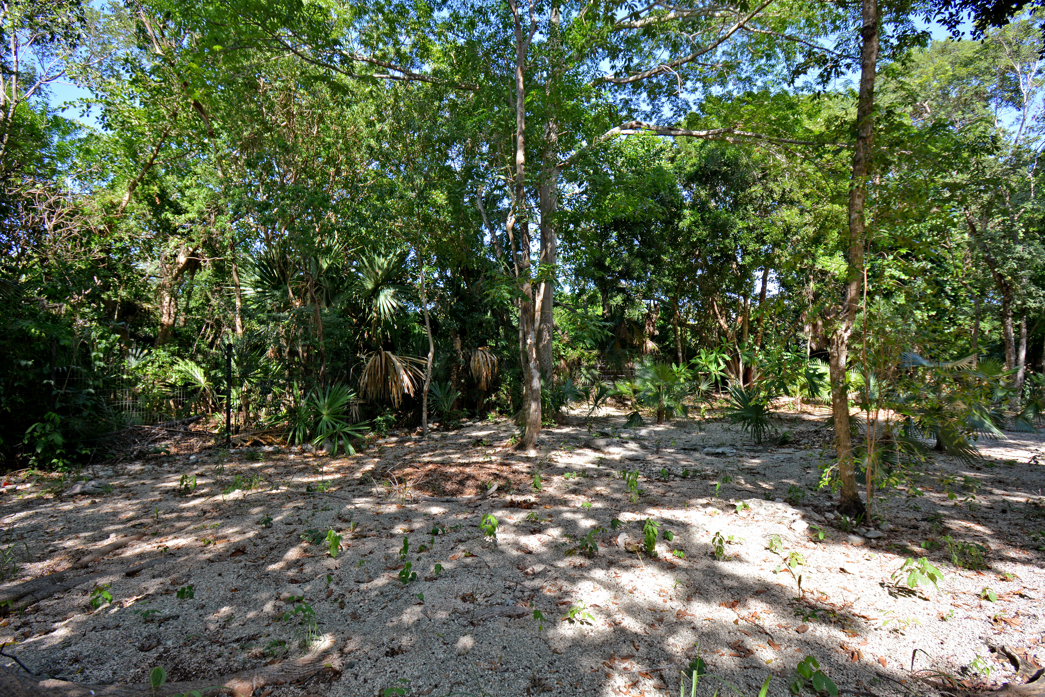  RESIDENTIAL LOT - 物件實景