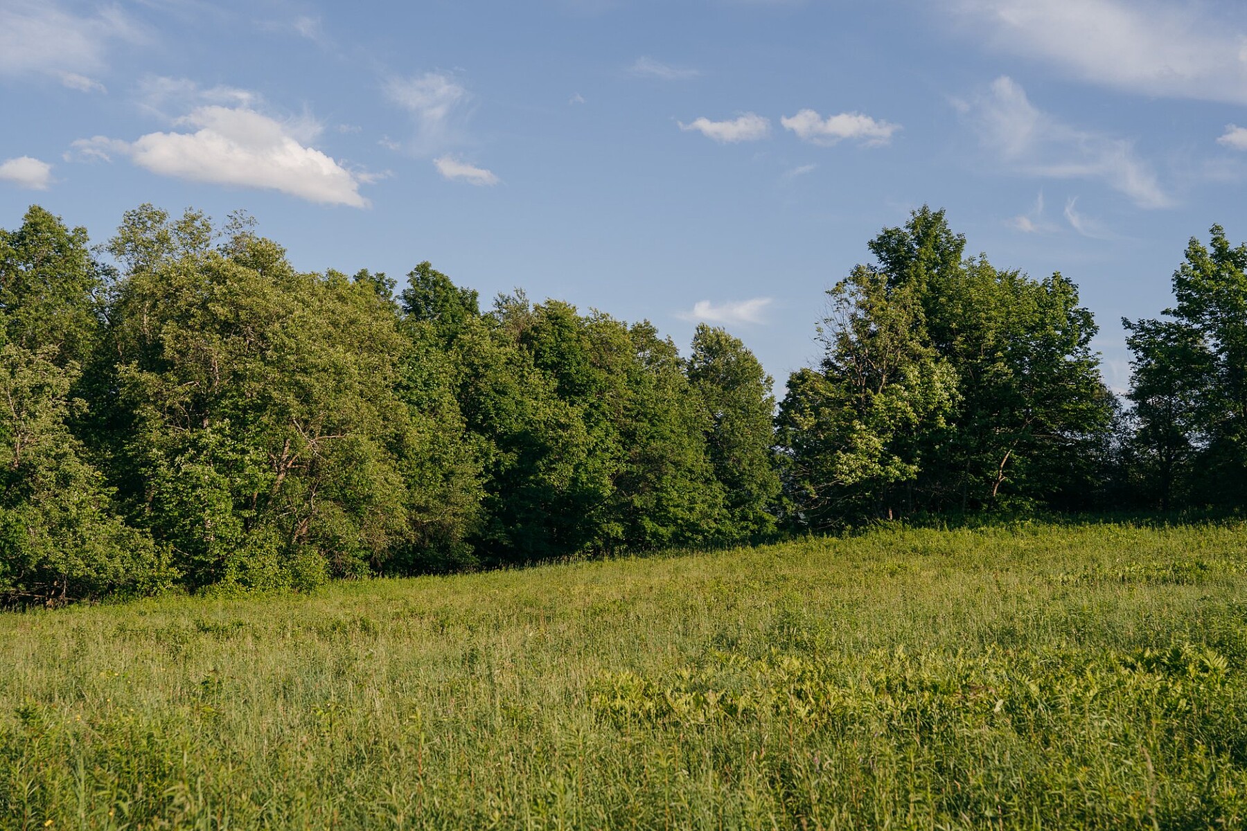  Sutton, Eastern Townships - 物件實景