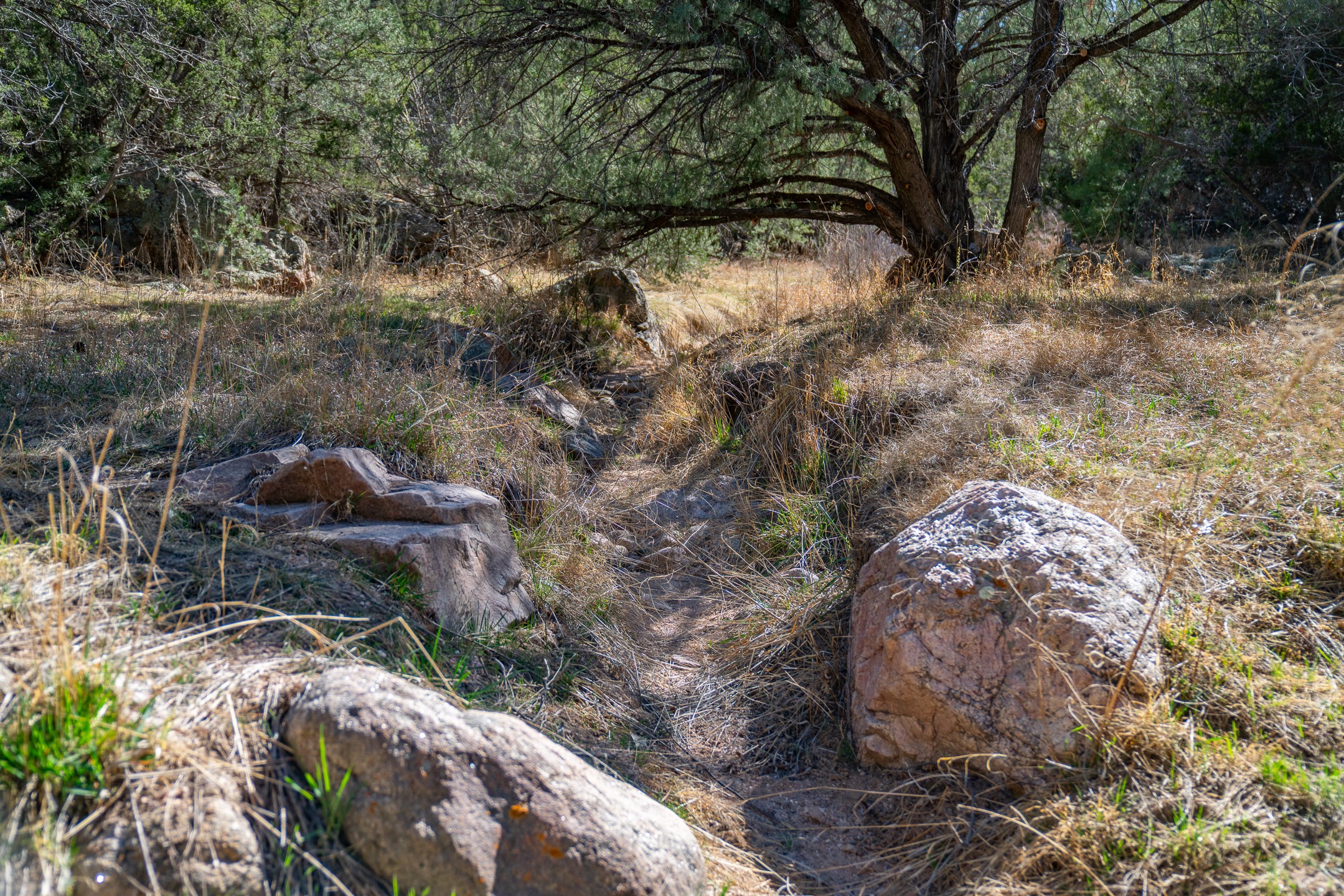 5.9 Acre Lot Camino Del Canon - 物件實景