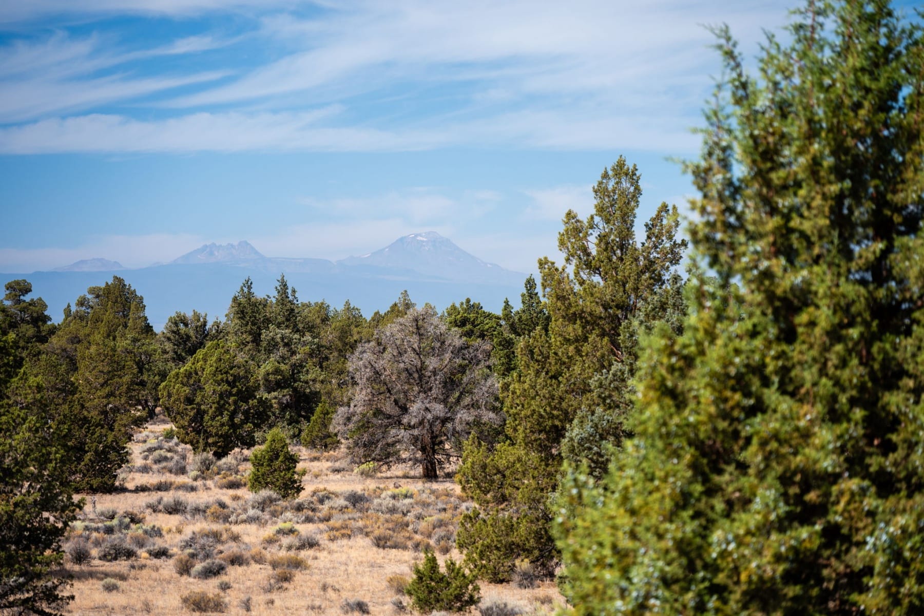  16264 SW Majestic View Lane Powell Butte, OR 97753 - 物件實景