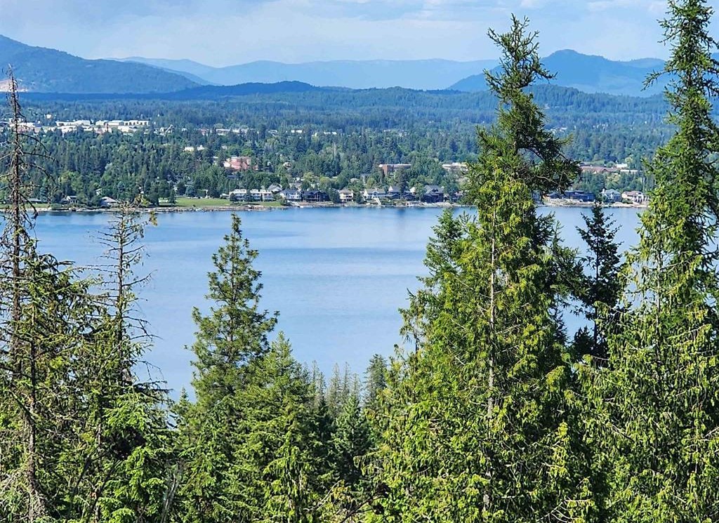 Sagle, Idaho, 83860, United States, ,Land,For Sale,1977293