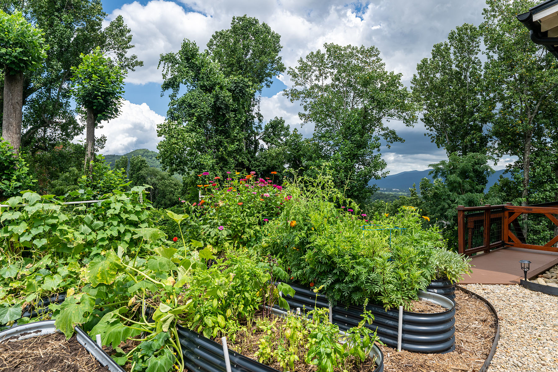  ASHEVILLE - 物件實景