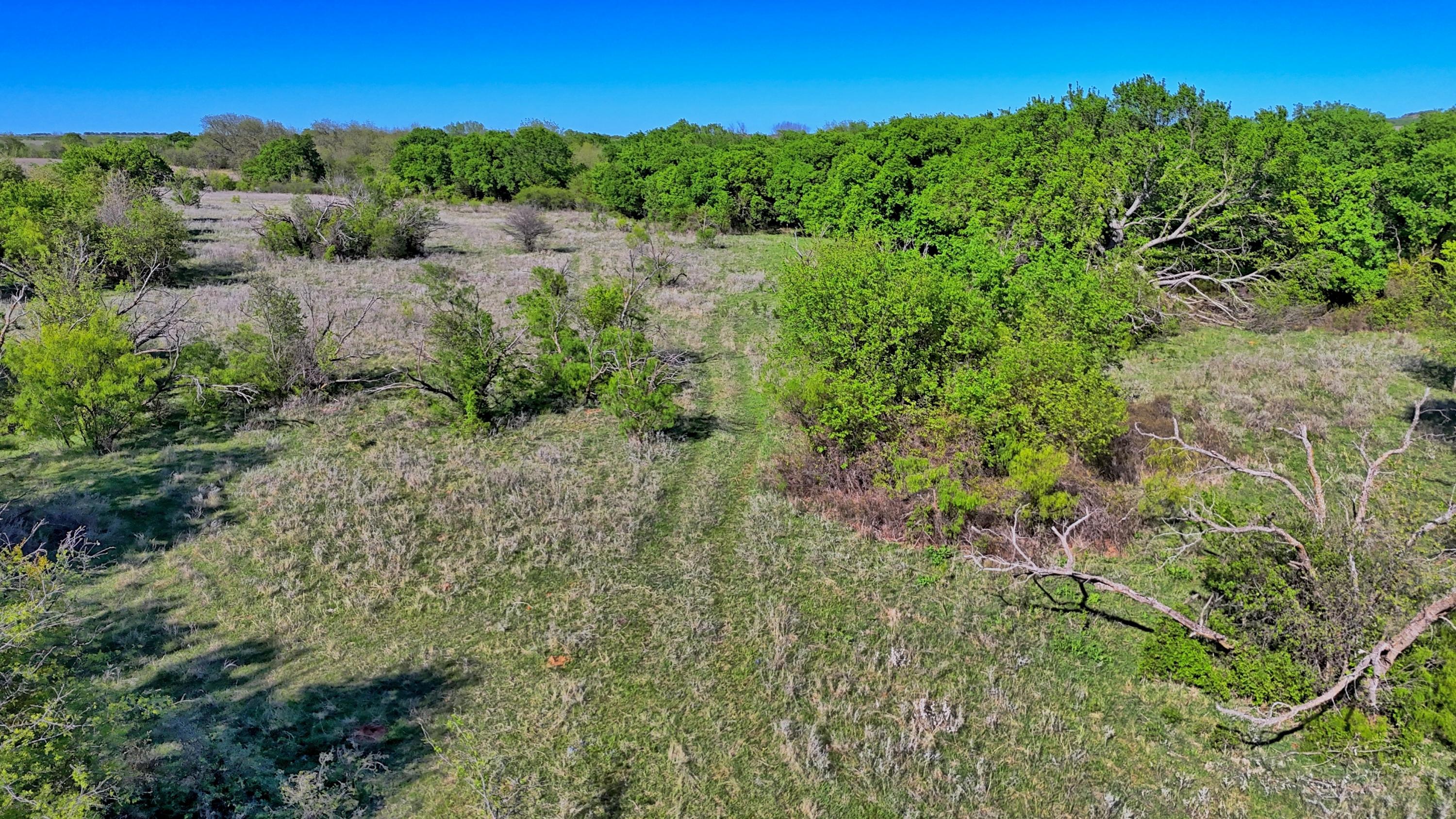  180 +/- Acre Multi-use North Texas Ranch - 物件實景
