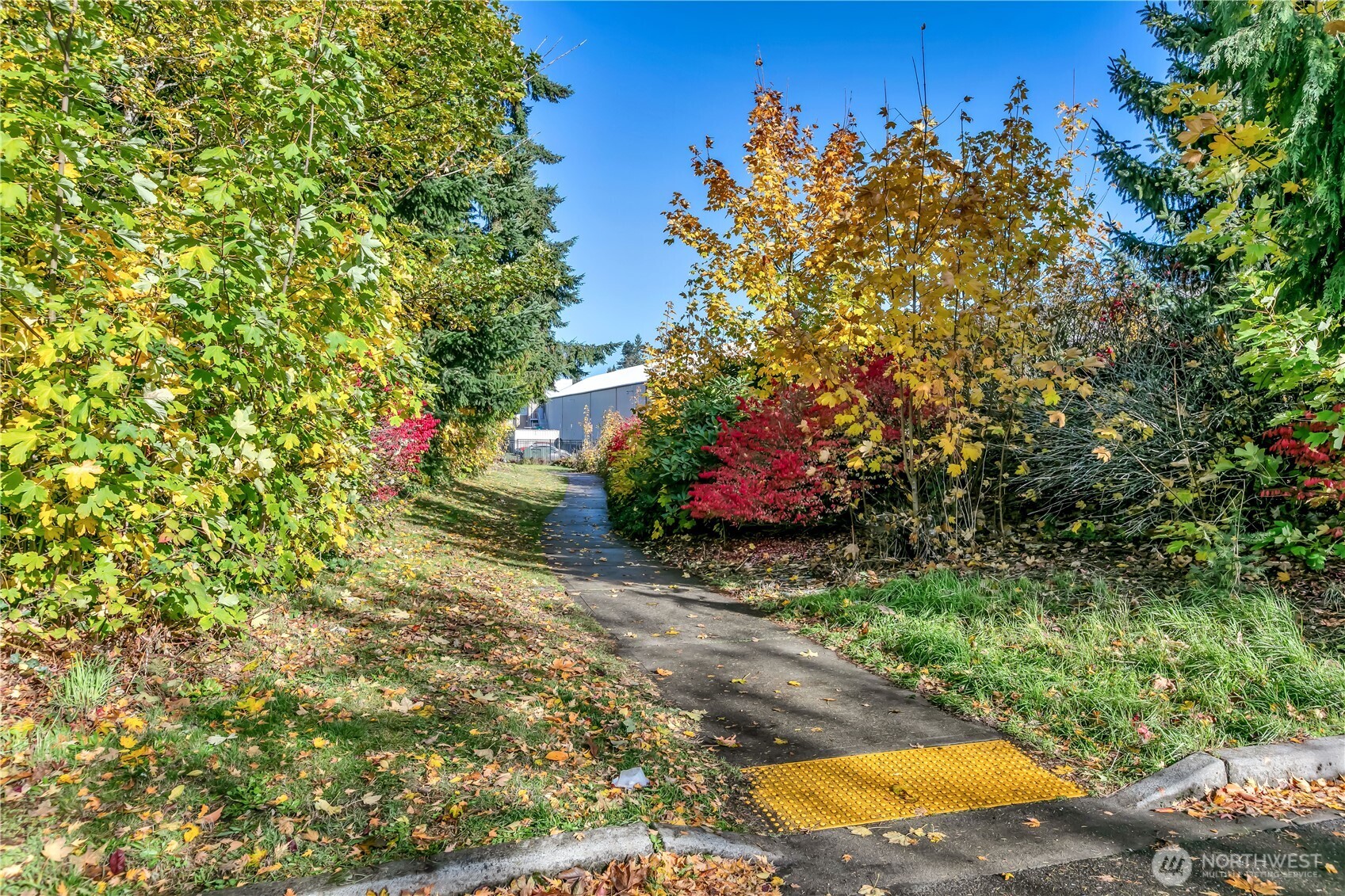 Tacoma, Washington, 98406, United States, 7 Bedrooms Bedrooms, ,2 BathroomsBathrooms,Residential,For Sale,1997085