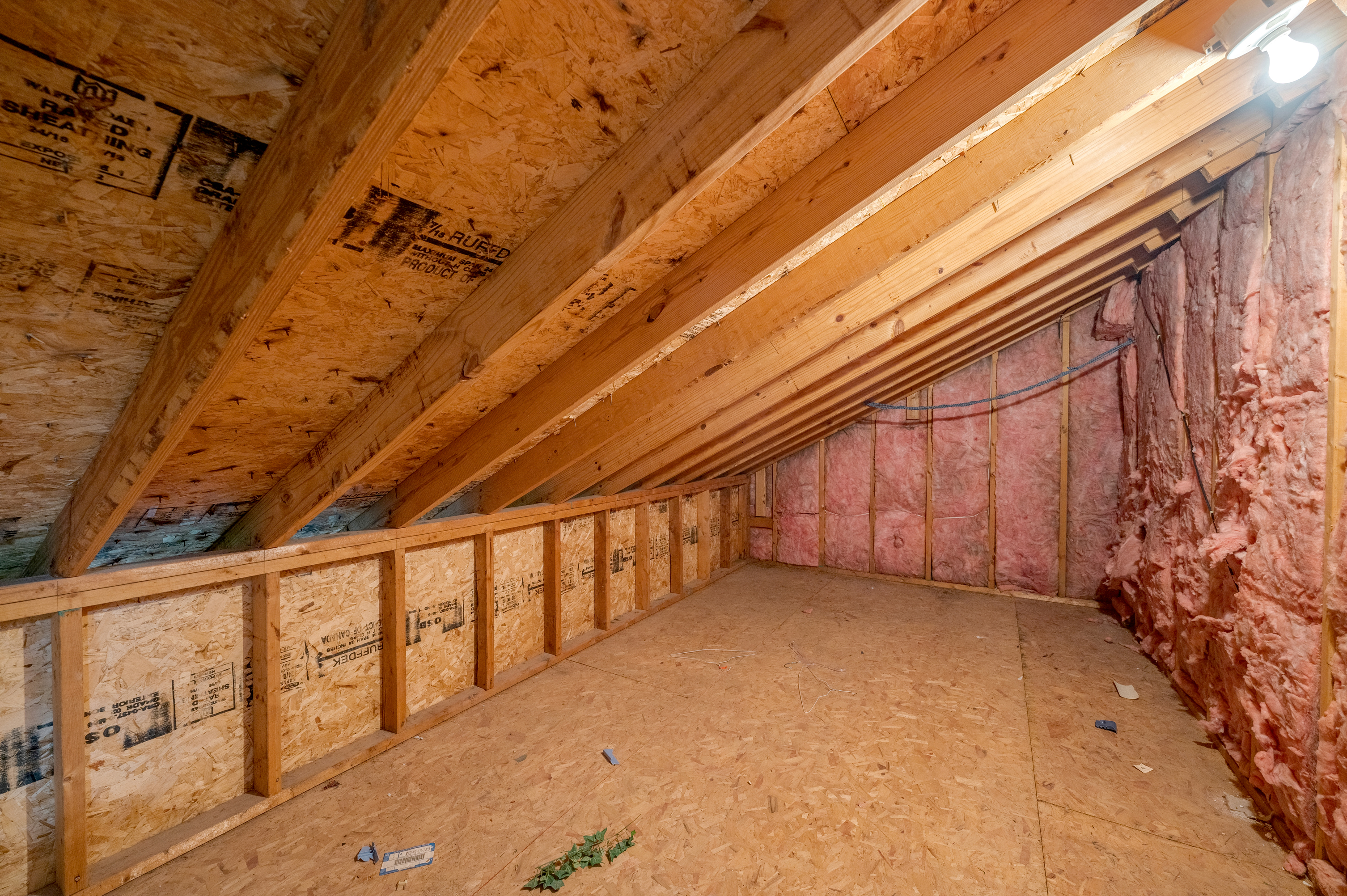  3809 Gillespies Glen - 物件實景