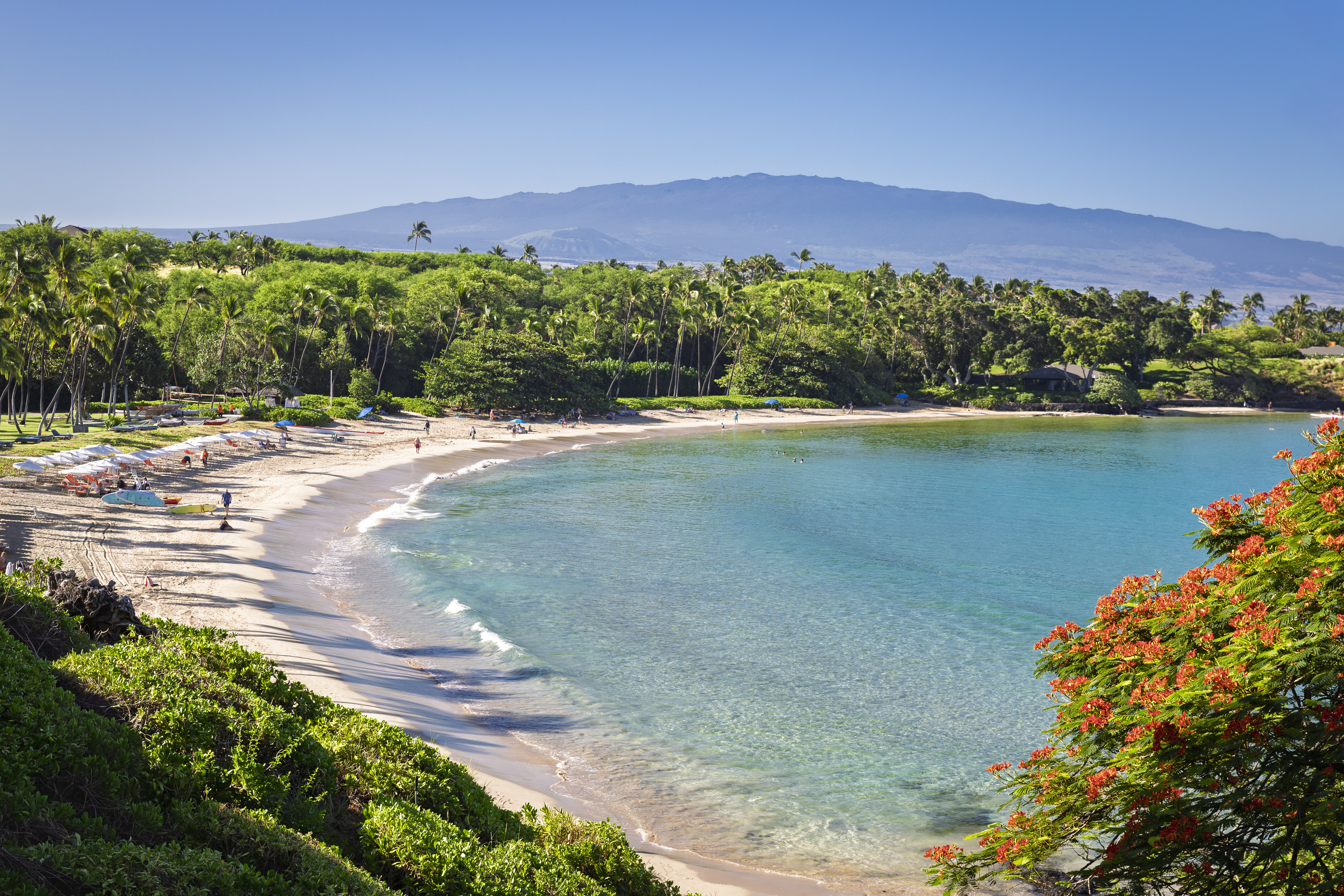 62-6065 Amaui Lani Pl, Kamuela, HI, 96743 - 物件實景