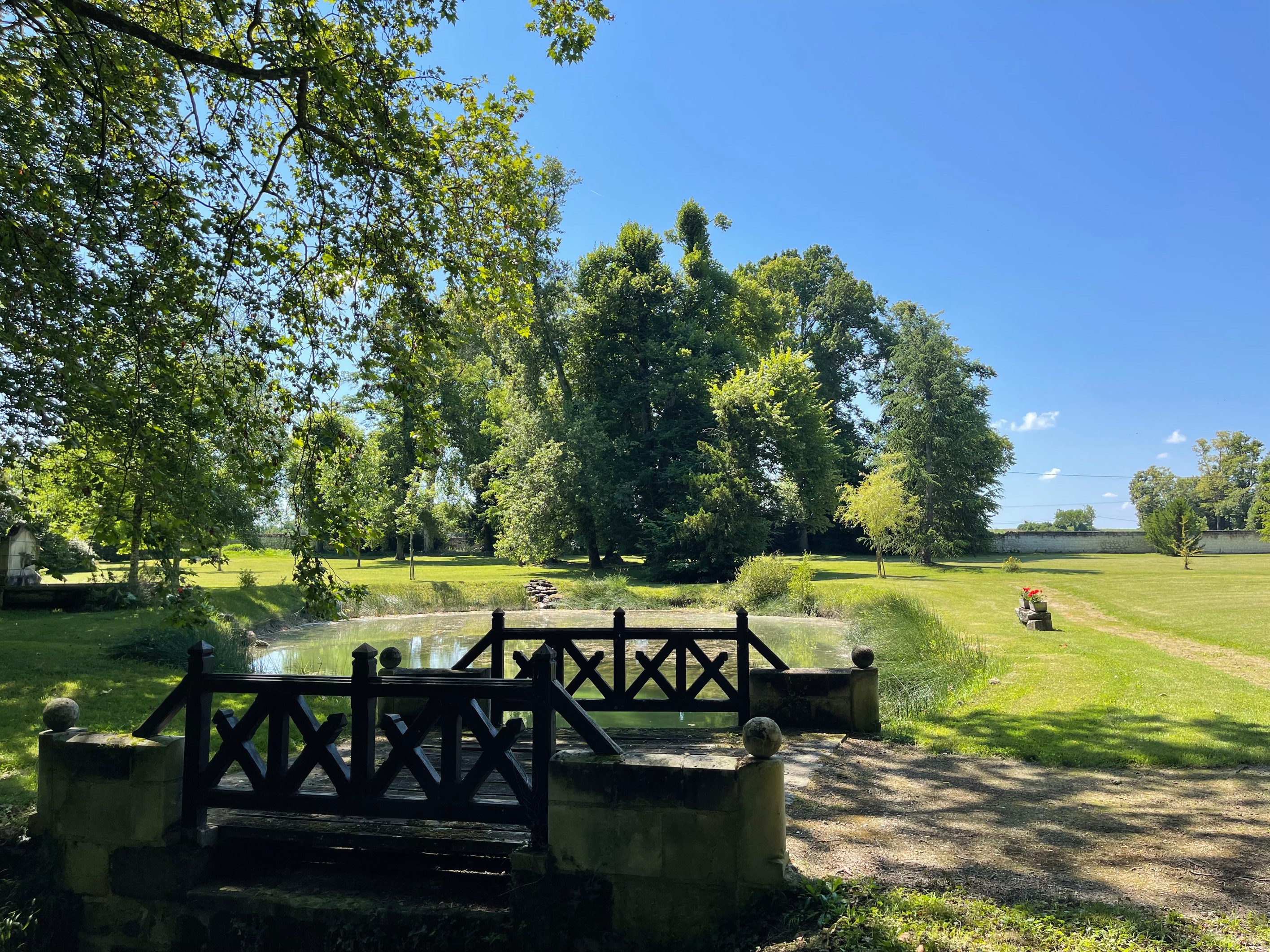  Castle in Loire Valley – Less than 10 minutes from the Royal Château of Chinon - 物件實景