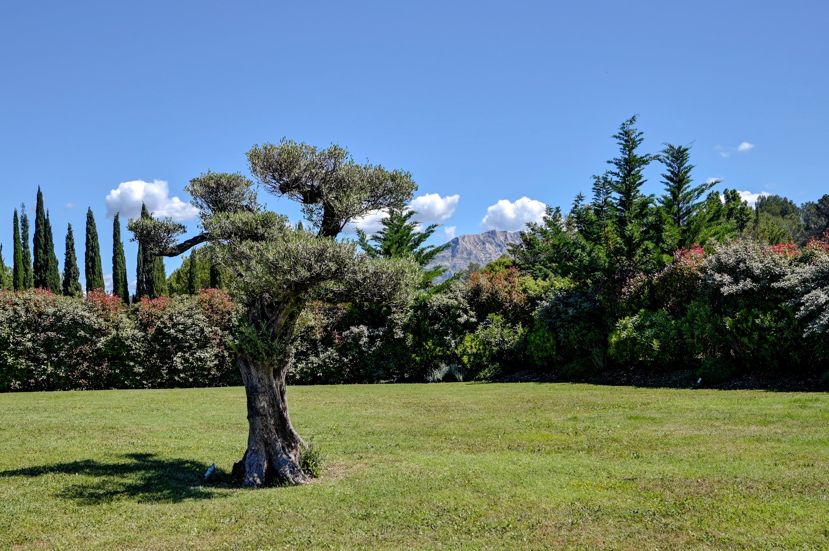  Californian Villa – Sainte-Victoire View - 物件實景