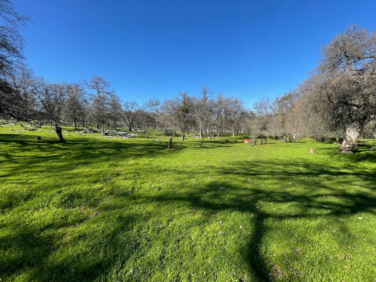 Vallecito, California, 95251, United States, ,Land,For Sale,1980651