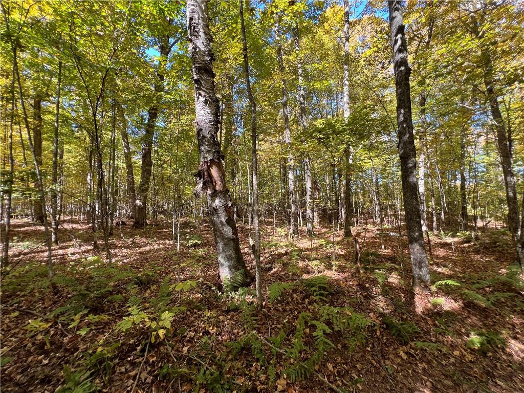 Hayward, Wisconsin, 54843, United States, ,Land,For Sale,1983896