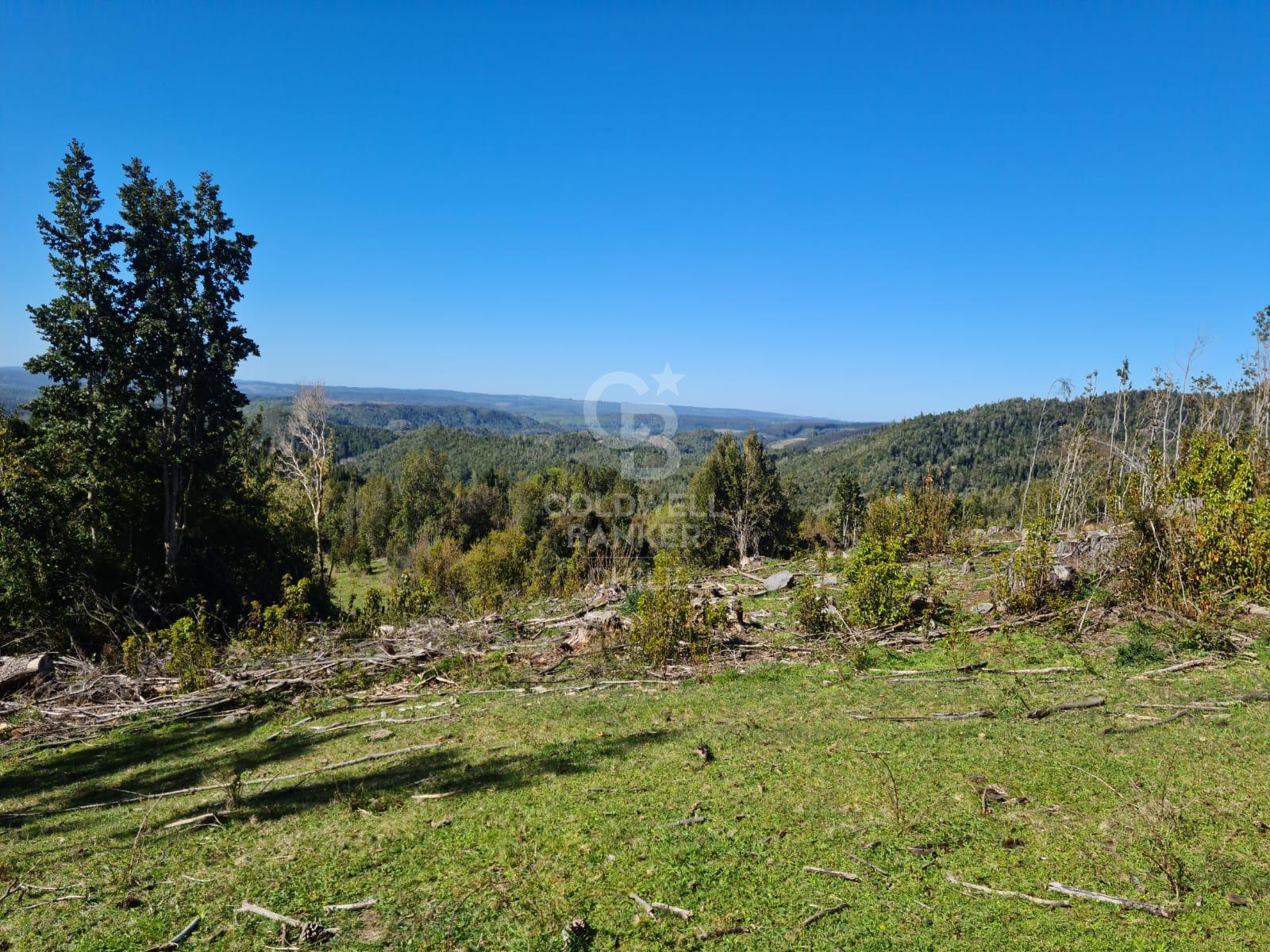 Fresia, Chile, ,Residential,For Sale,1913252