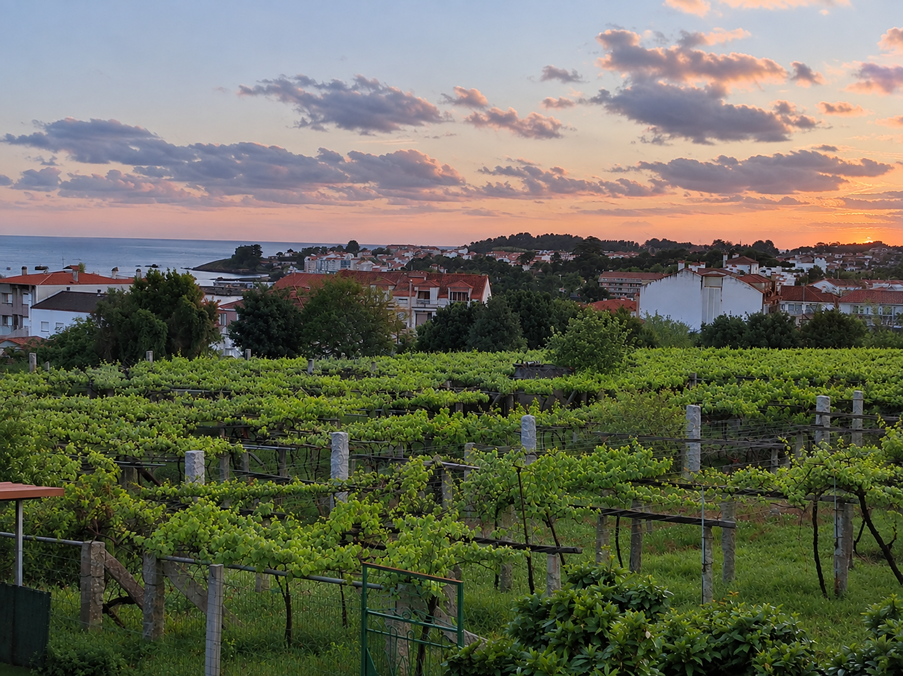  Residential land in Sanxenxo, Pontevedra - 物件實景