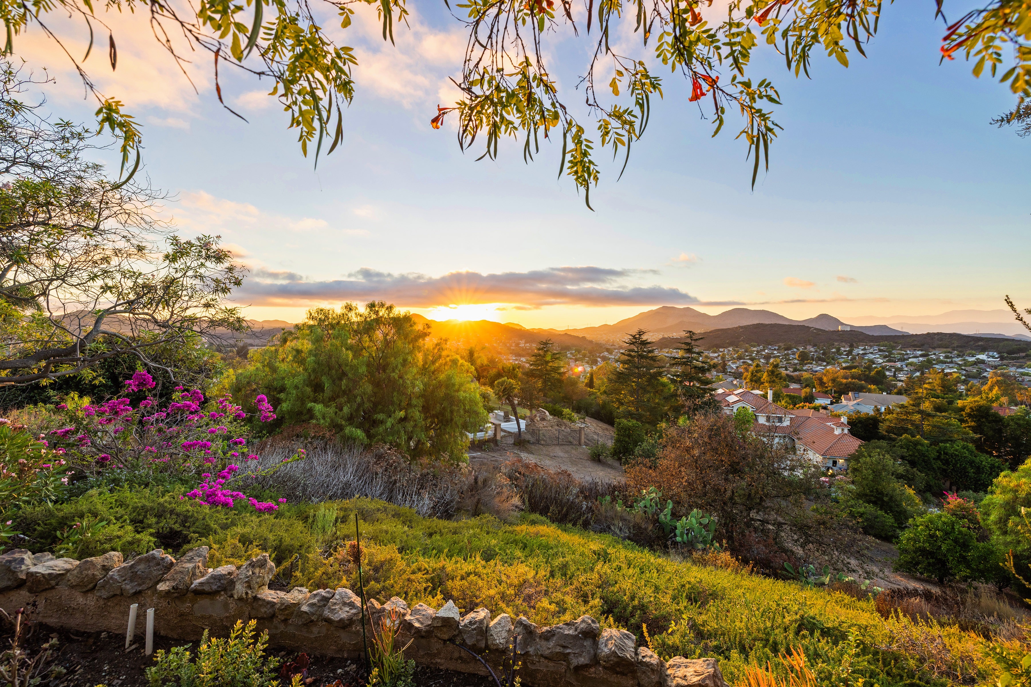  1098 Antelope Place, Newbury Park - 物件實景