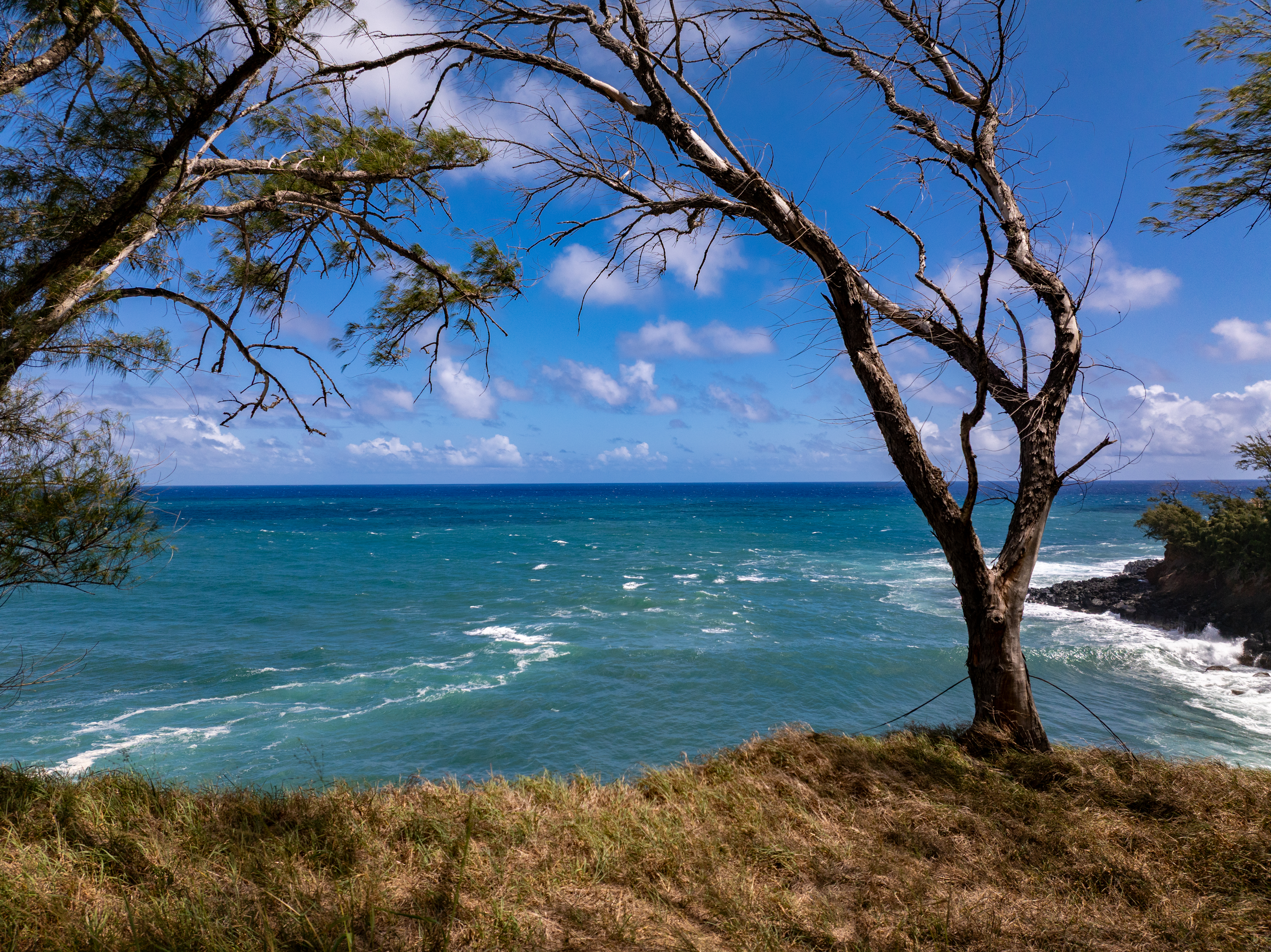 53-4223 Pratt Road, Kapaau, HI 96755 - 物件實景