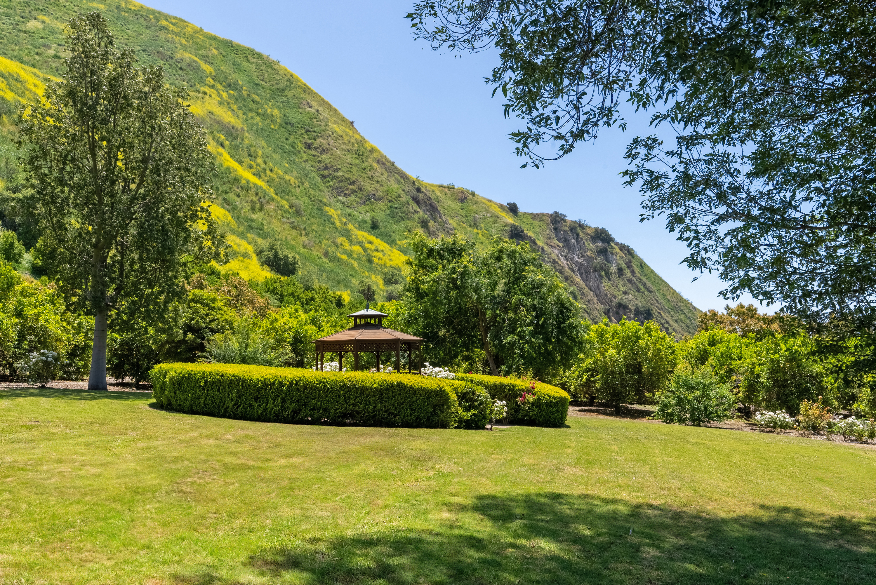  15454 S. Mountain Road - 物件實景