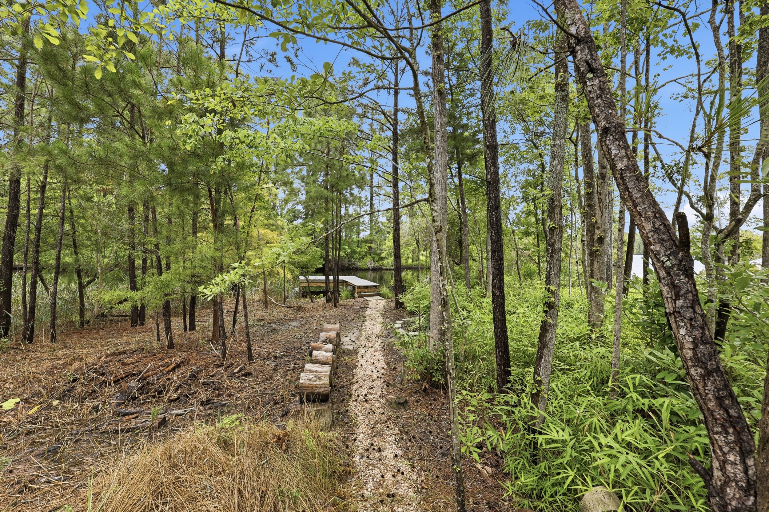  199 Dogwood Trail, Elizabeth City, NC, 27909 - 物件實景