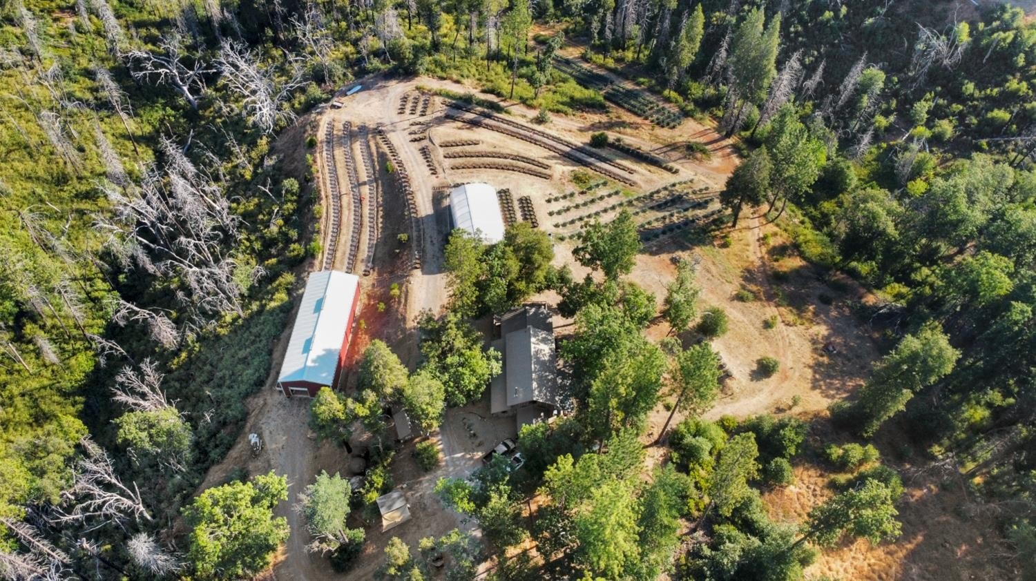 Mountain Ranch, California, 95246, United States, ,Land,For Sale,1981446