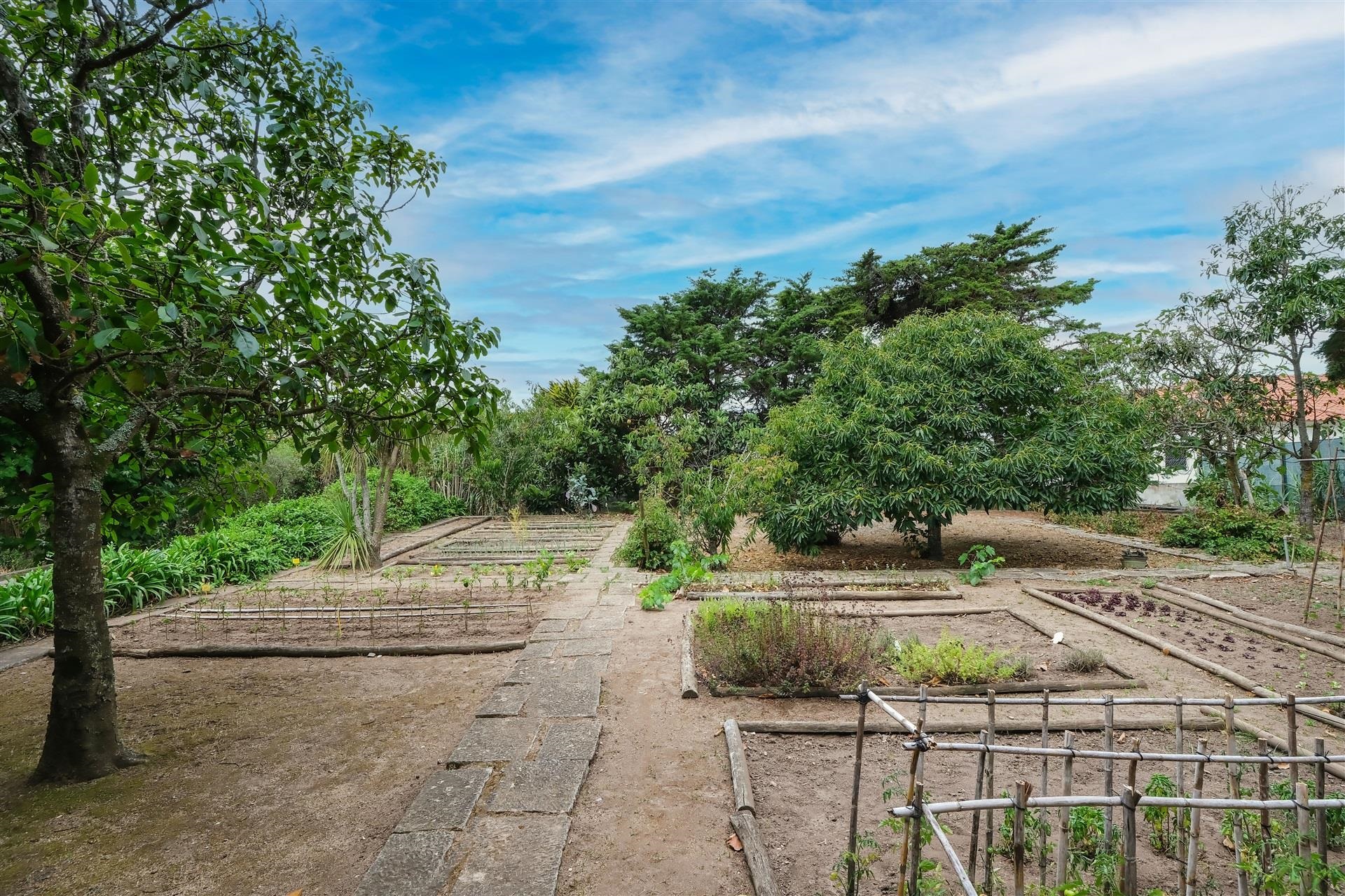  Terreno com ruina, 4 bedrooms, for Sale - 物件實景