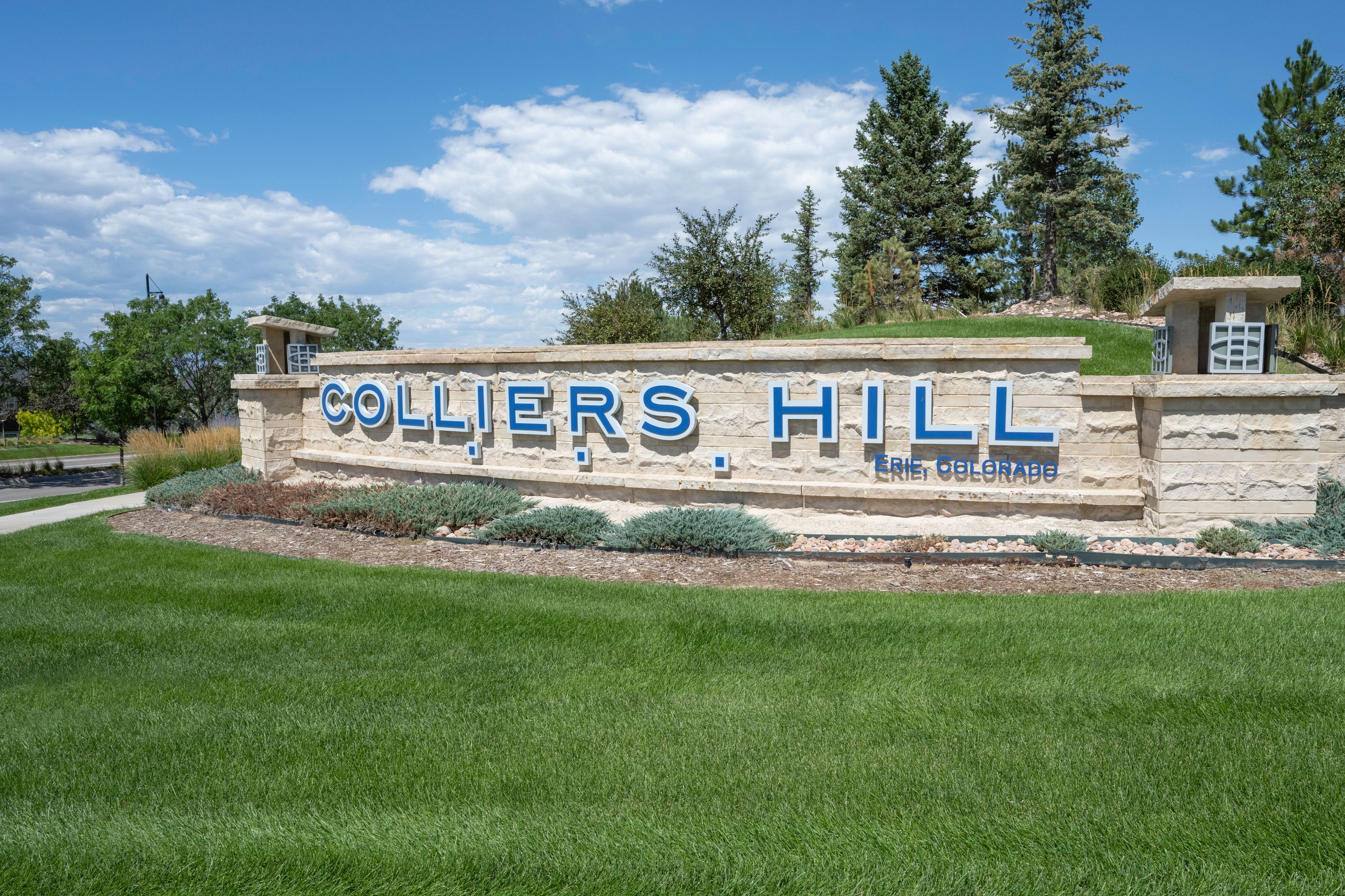  Move-in-ready home in Colliers Hill - 物件實景