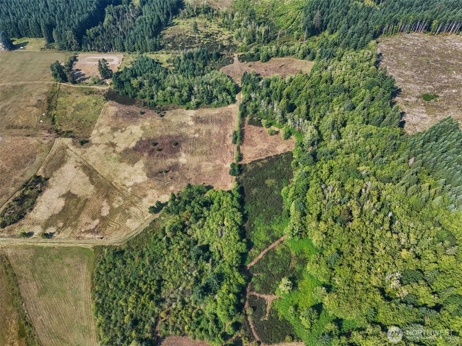 Onalaska, Washington, 98570, United States, ,Land,For Sale,1994245