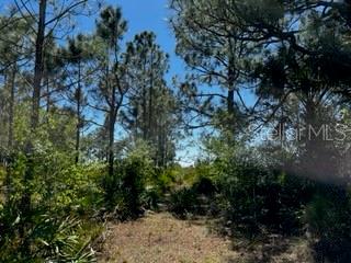 Punta Gorda, Florida, 33982, United States, ,Land,For Sale,1840783