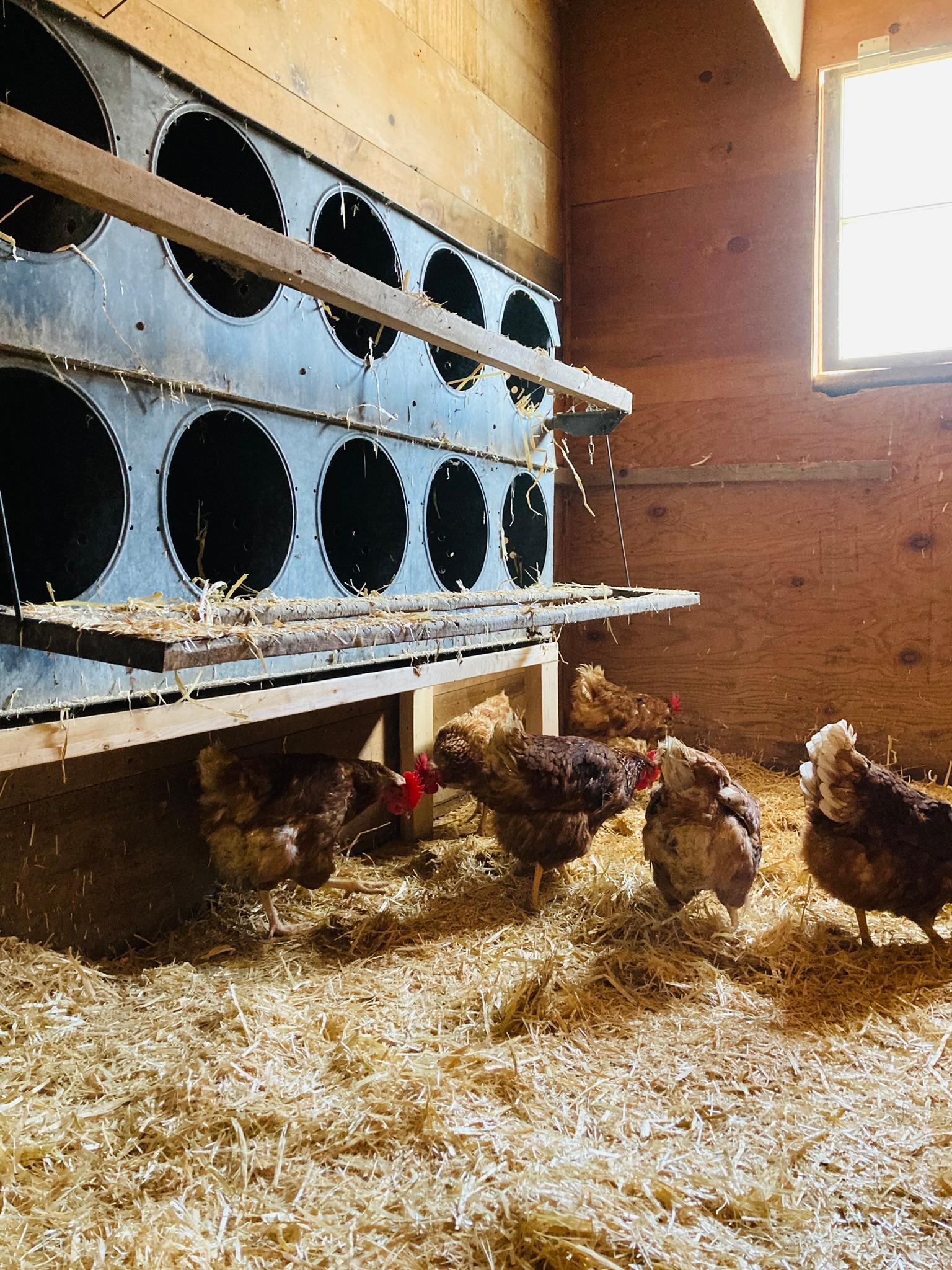 Winona, Minnesota, 55987, United States, 5 Bedrooms Bedrooms, ,2 BathroomsBathrooms,Residential,For Sale,2005788