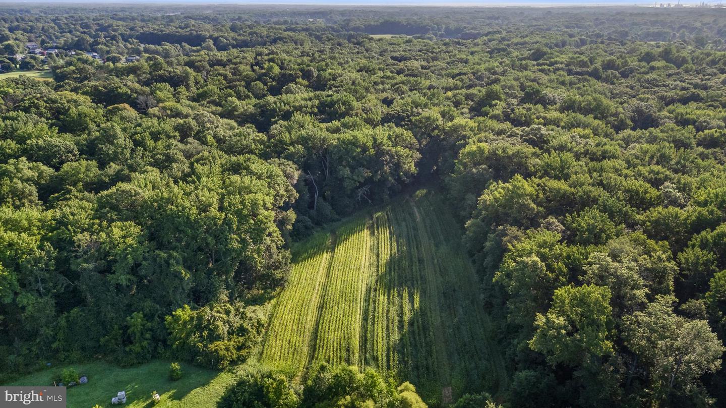 BEAR, Delaware, 19701, United States, ,Land,For Sale,1988849