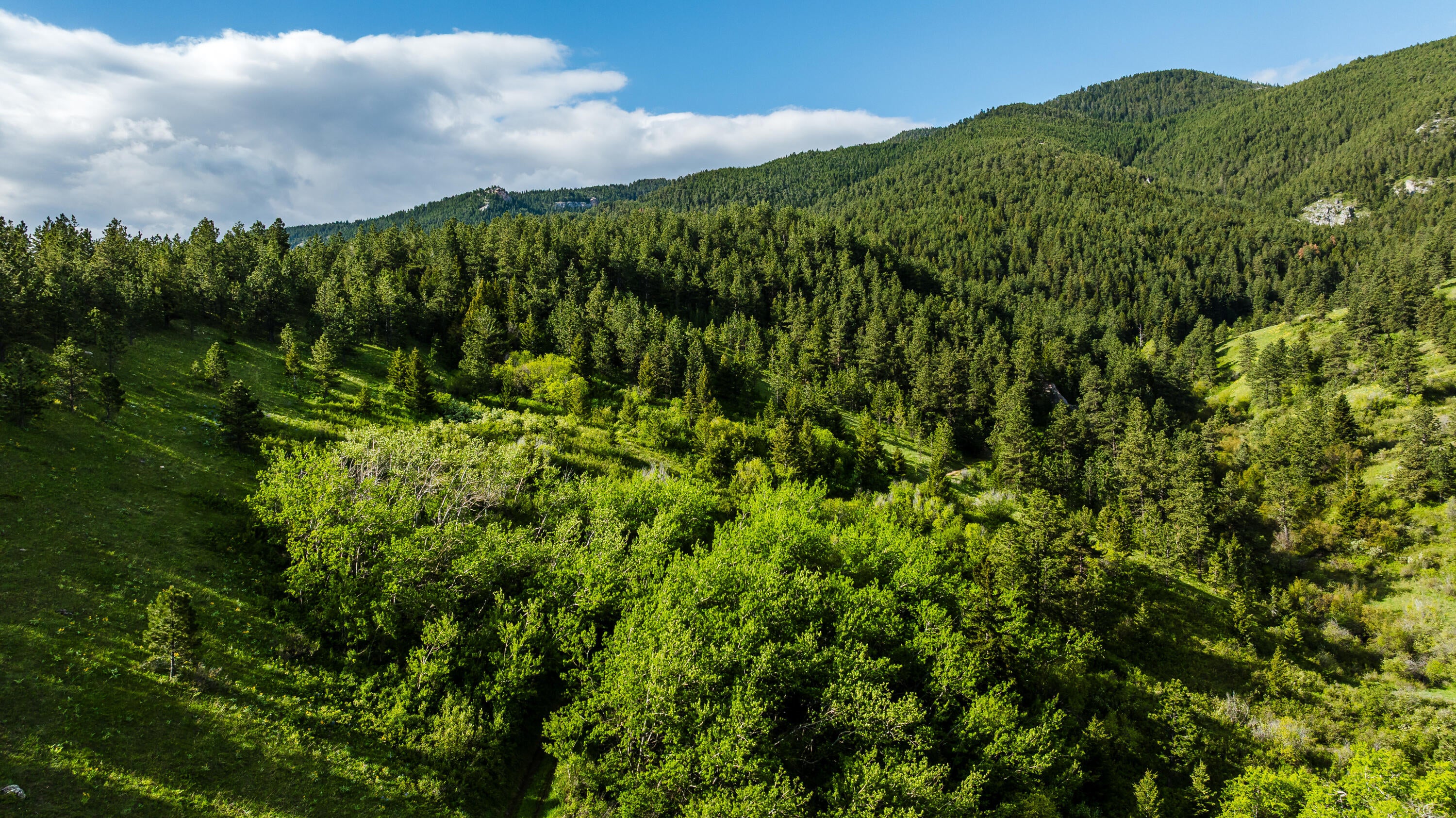 Big Horn, Wyoming, 82833, United States, ,Residential,For Sale,2011314