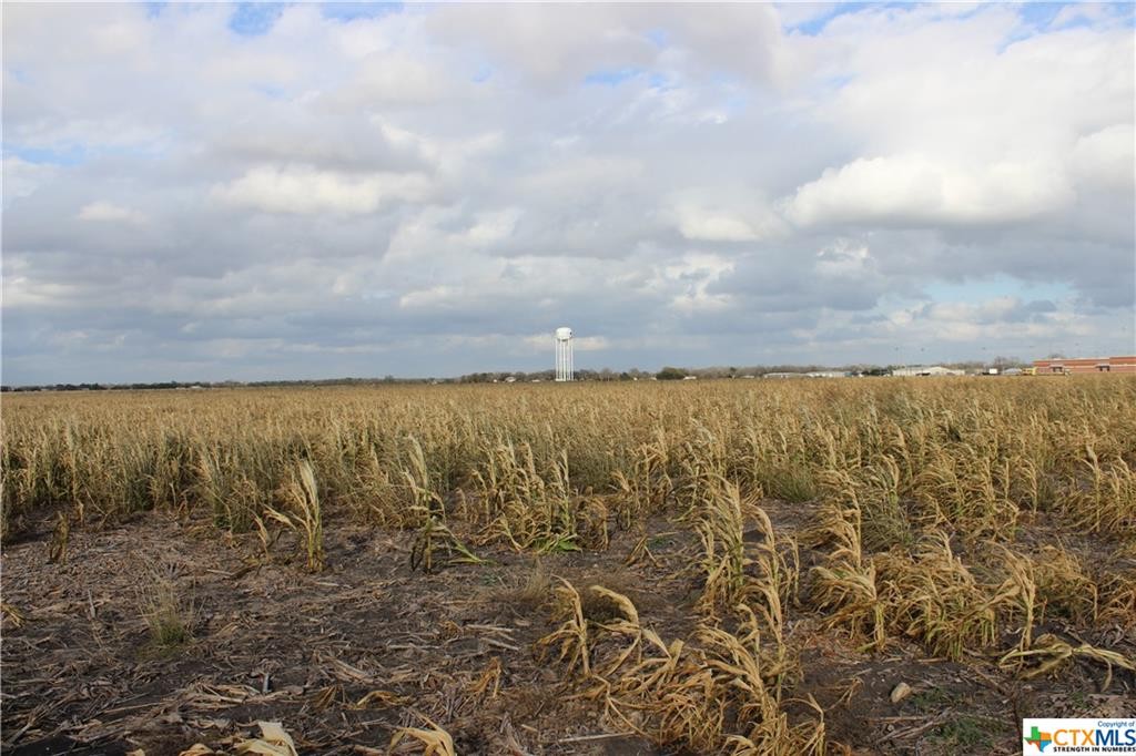 Tbd Friedens Church & Link Rd Road, Seguin, Texas, 78155, United States, ,Residential,For Sale,Tbd Friedens Church & Link Rd Road,1185694