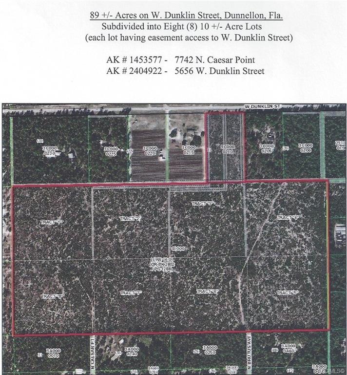 Dunnellon, Florida, 34433, United States, ,Land,For Sale,1990444