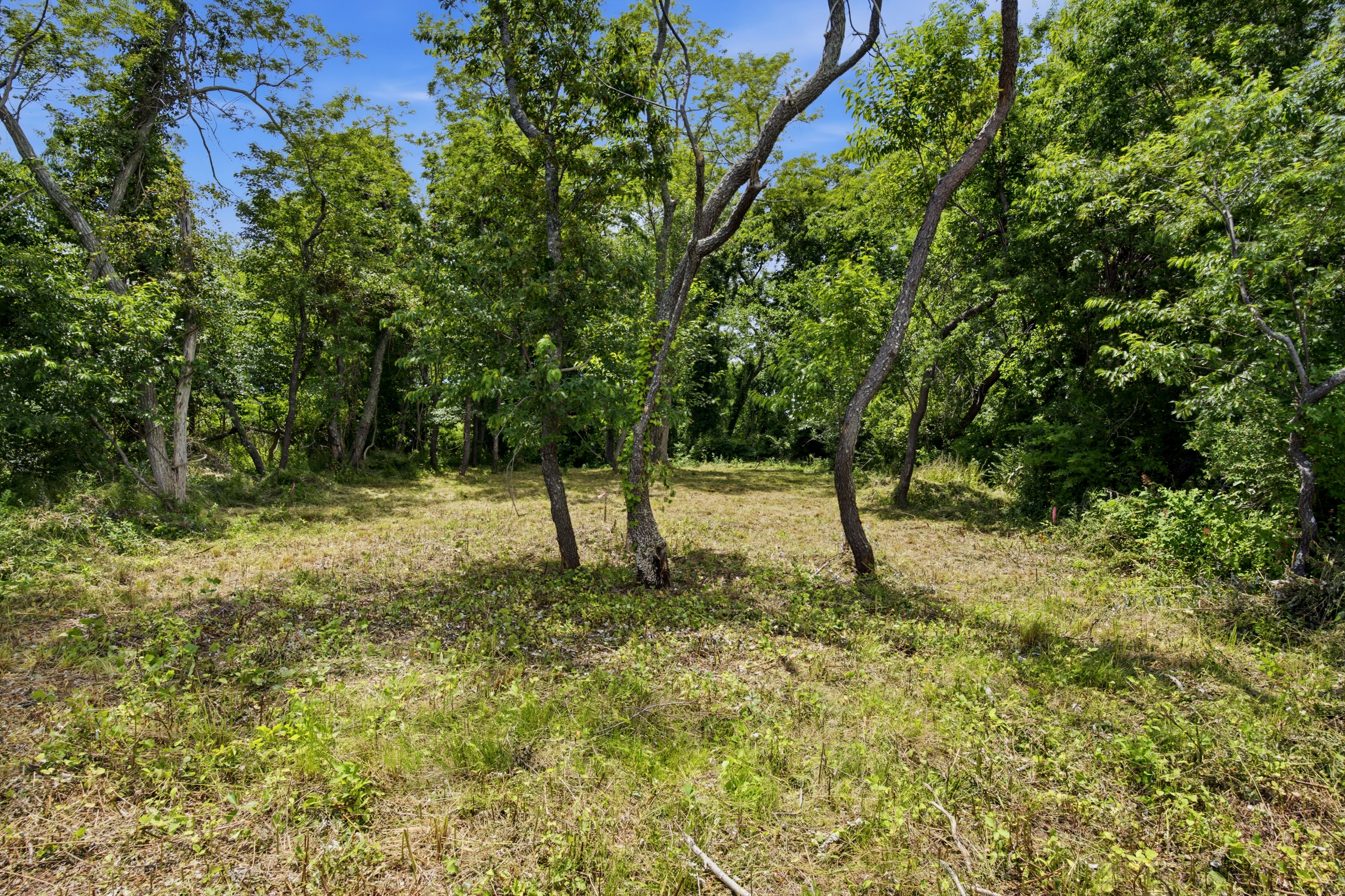  75 Pettys Drive, Orient, NY 11957 - 物件實景